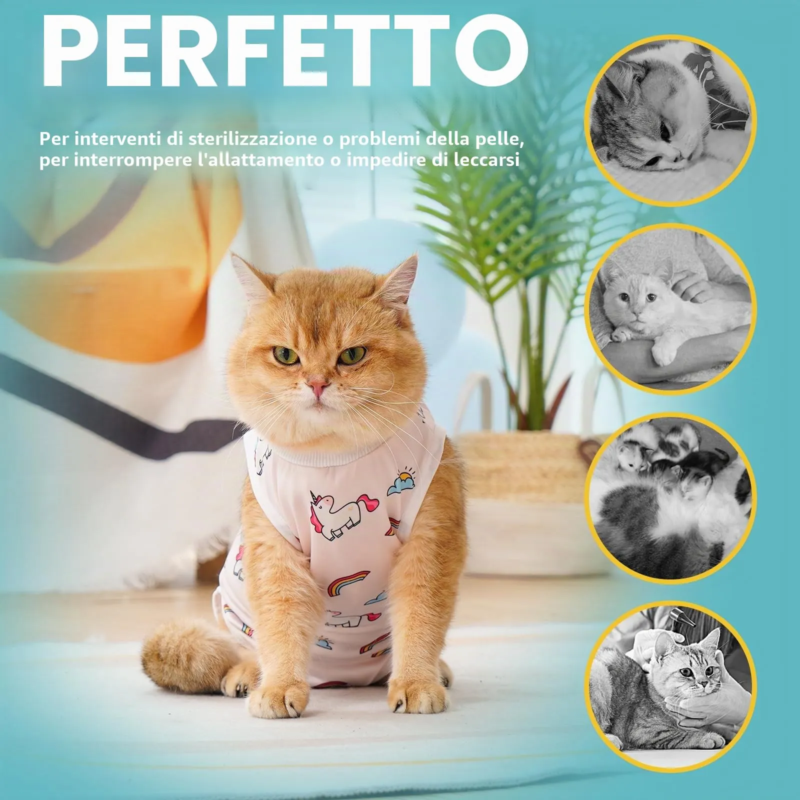 Avont Body Post Operatorio Gatto, Tutina Gatto Post Operatori Sterilizzazione, Cat Recovery Suit per Impedire Leccare Ferita Addominale Dopo l'intervento Chirurgico -Unicorno(S) - immagine 5
