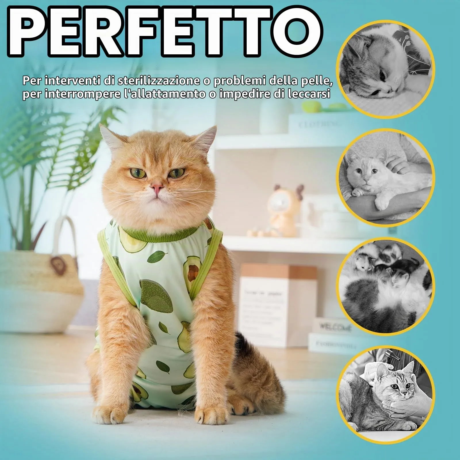 Avont Body Post Operatorio Gatto, Tutina Gatto Post Operatori Sterilizzazione, Cat Recovery Suit per Impedire Leccare Ferita Addominale Dopo l'intervento Chirurgico -Avocado(S) - immagine 5