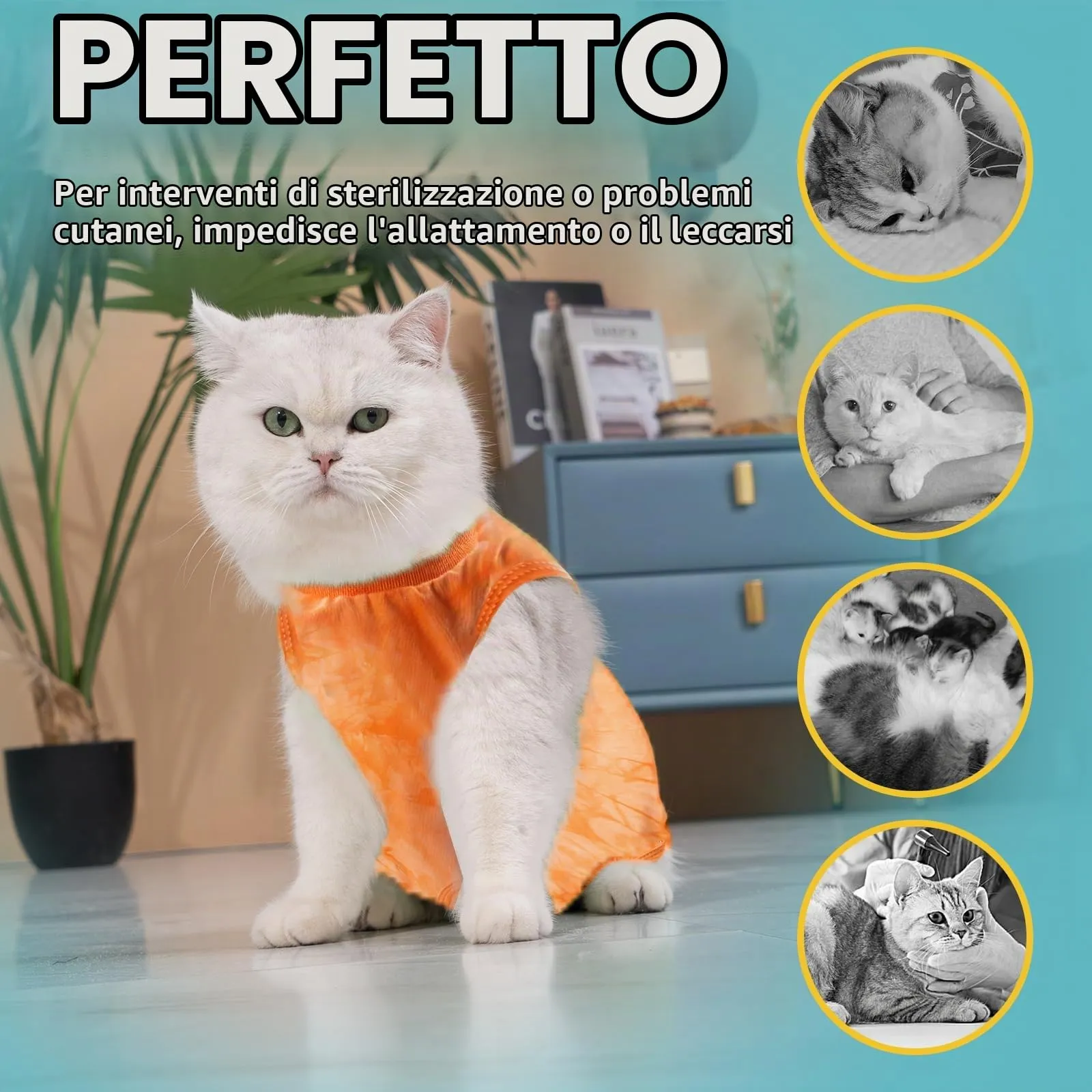 Avont Tuta da Recupero per Gatti, Body Gatto Post Operatorio Sterilizzazione, Cat Recovery Suit, Vestito Gatto per Impedire Leccare Ferita Addominale Dopo l'intervento Chirurgico –Arancio Tie-dye(M) - immagine 5