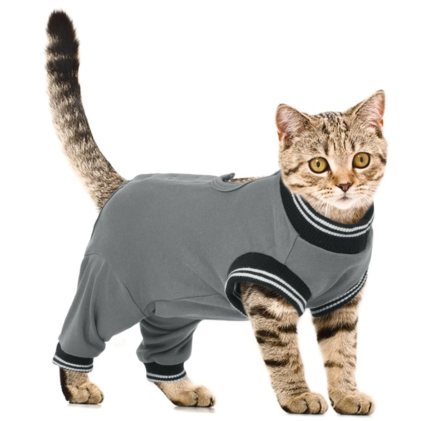 PUMYPOREITY Tuta Post-Operatoria Gatto Femmina, Body Chirurgico Gatto Grigio M - immagine 1