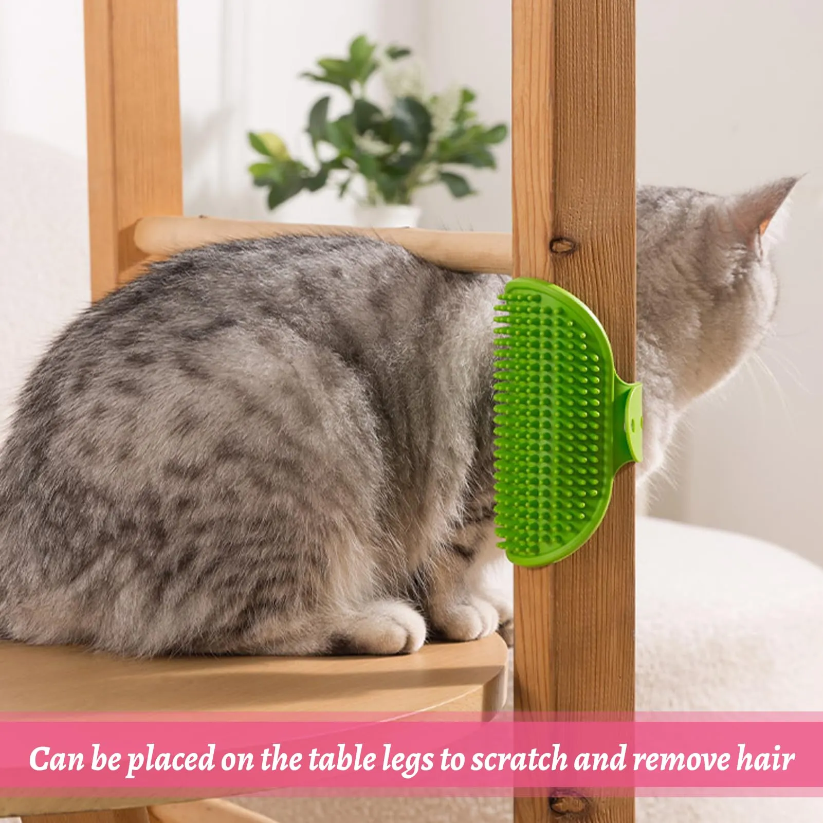 4 cuscinetti per la toelettatura del gatto, in silicone, per toelettatura e toelettatura gatti, 2 in 1, per gatti da interni, spazzola per gattini, divani, sedie, gambe (4 colori) - immagine 4