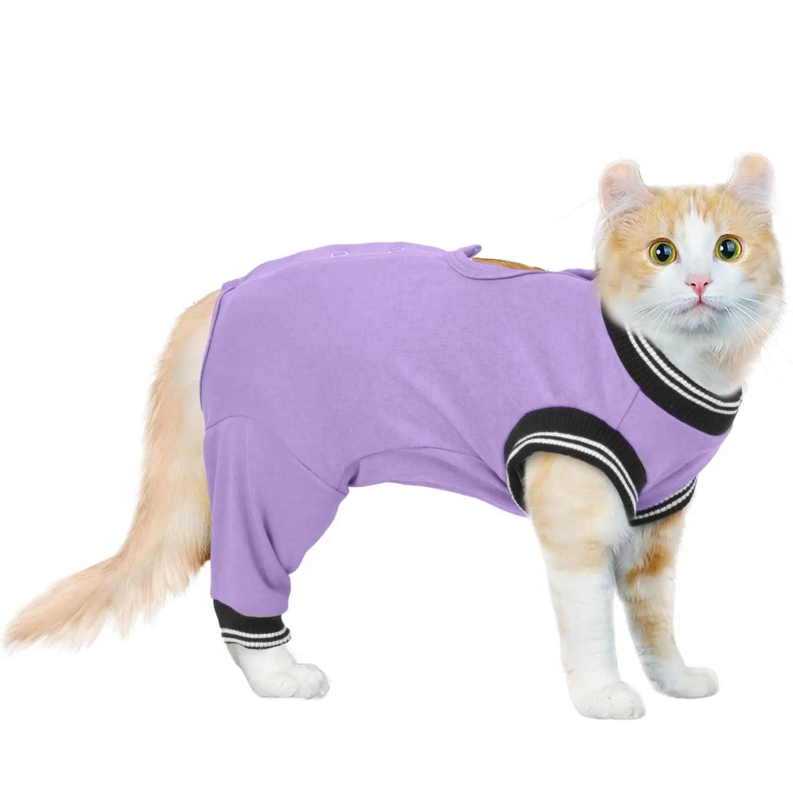PUMYPOREITY Body Gatto Post Operatorio Sterilizzazione, Tuta per Recupero Gatti Tutina Cane Post Operatoria Sterilizzazione(Viola, XL) - immagine 1
