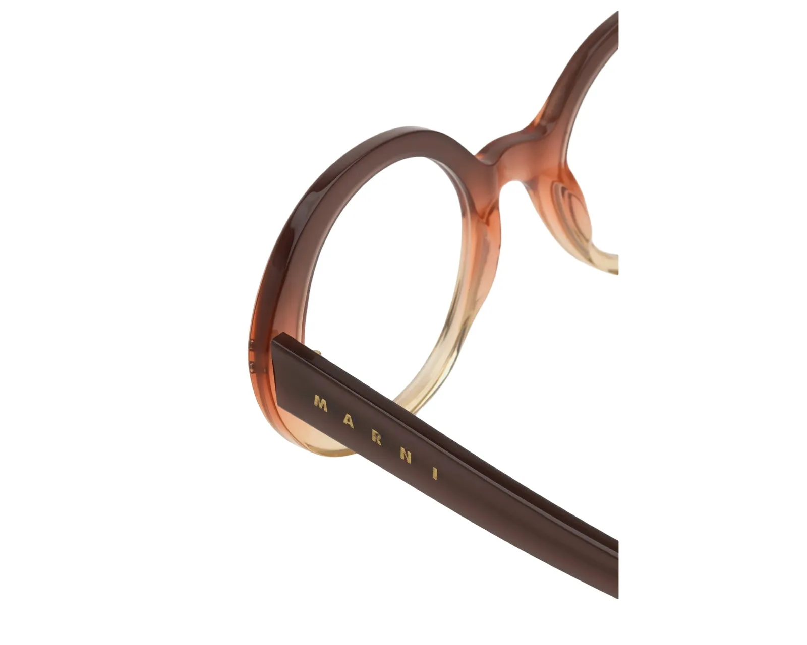 Marni IBR Eobilo Brown Faded Montature da vista Acetato Marrone Rotonda - immagine 3