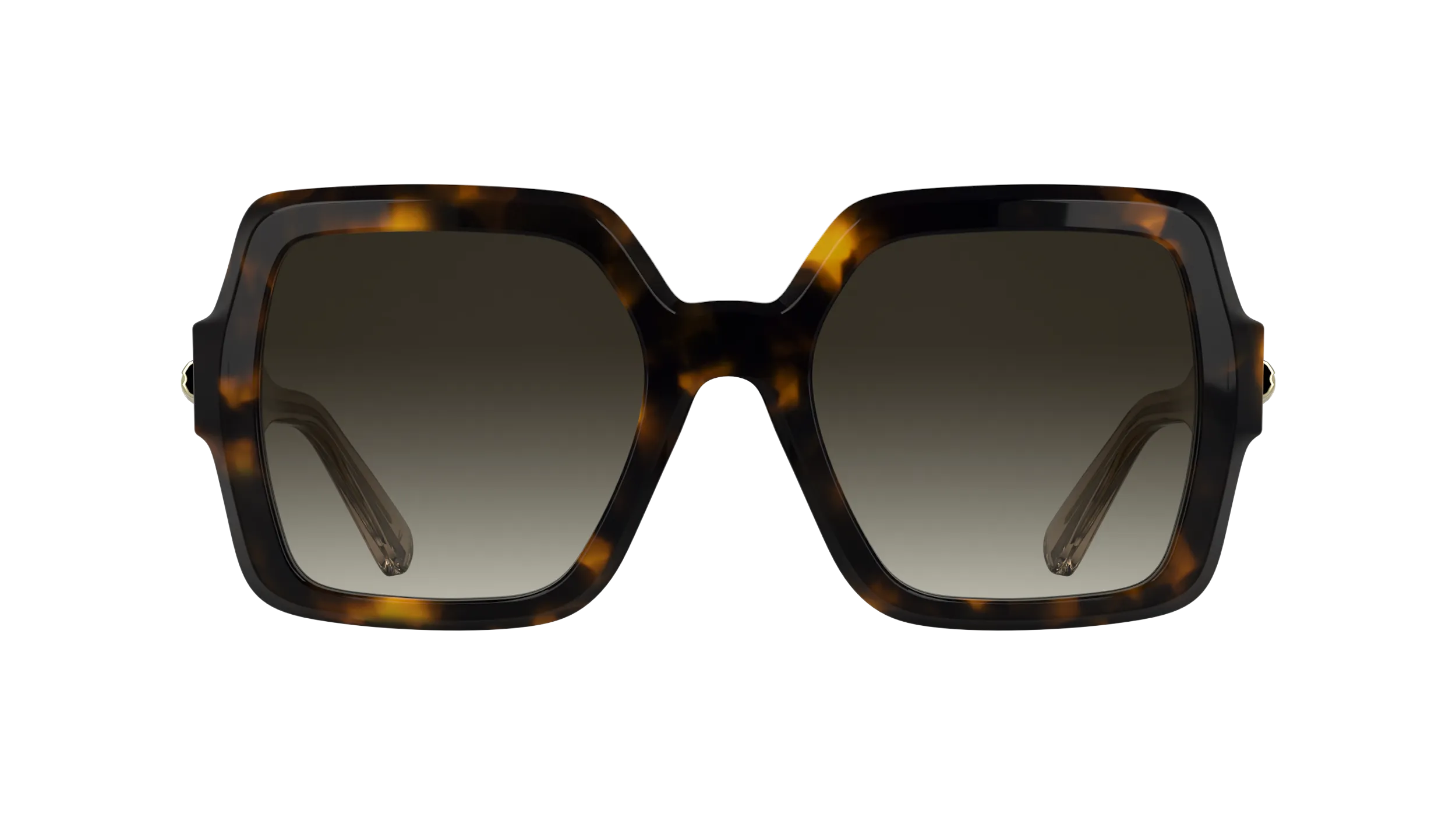 LONGCHAMP LO790S 231 Occhiali da sole Acetato Havana Squadrata Normale - immagine 2