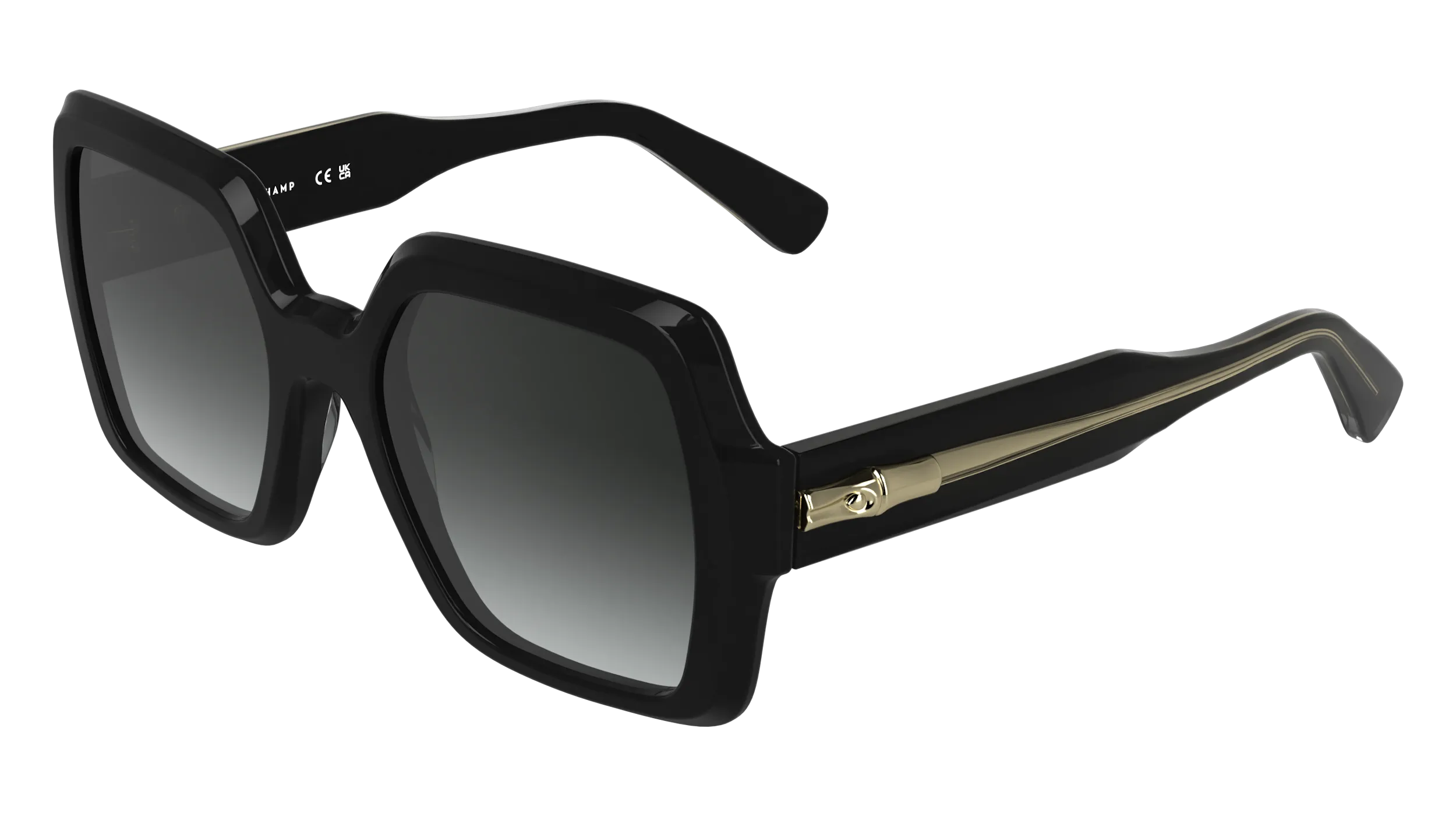 LONGCHAMP LO790S 001 Occhiali da sole Acetato Nero Squadrata Normale - immagine 1