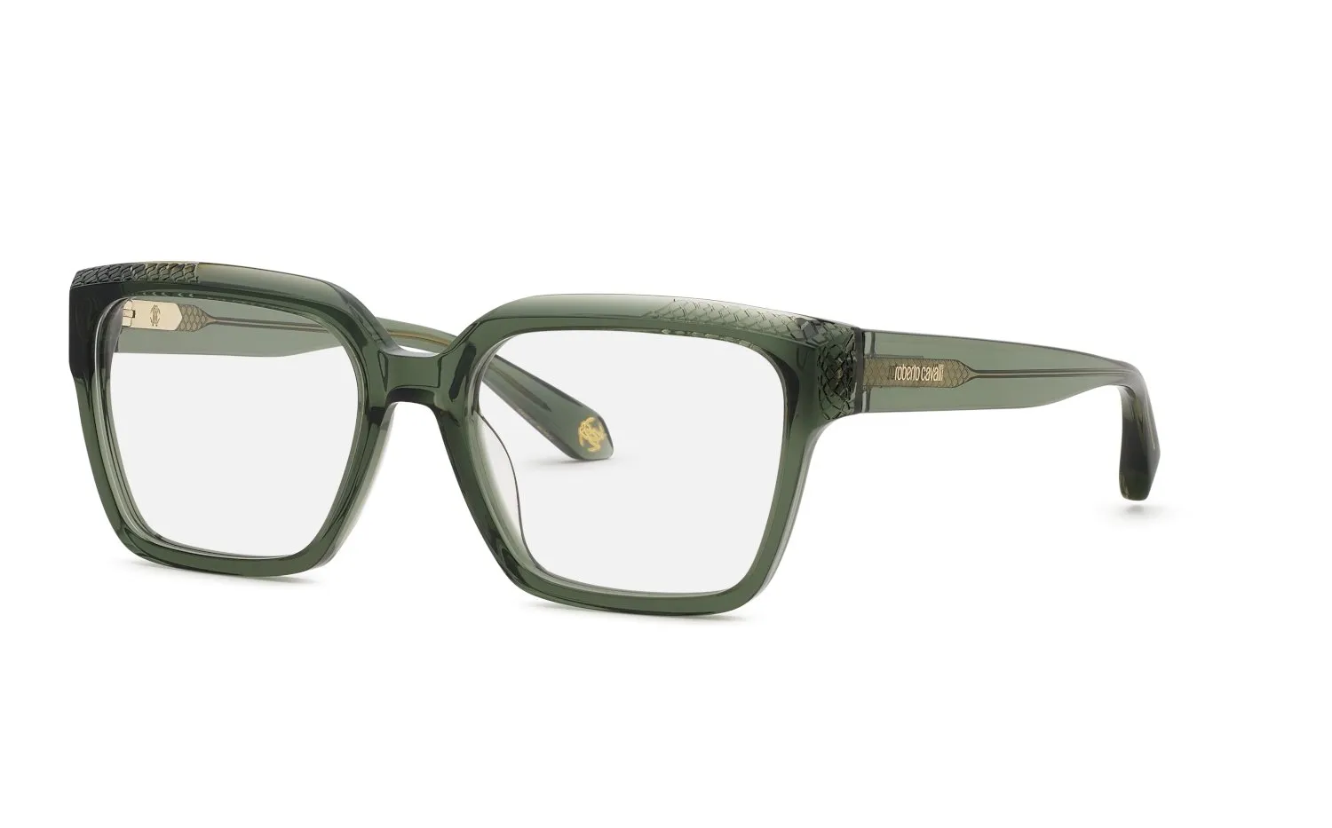 Roberto Cavalli VRC147M 07TH Montature da vista Acetato Verde Squadrata - immagine 1
