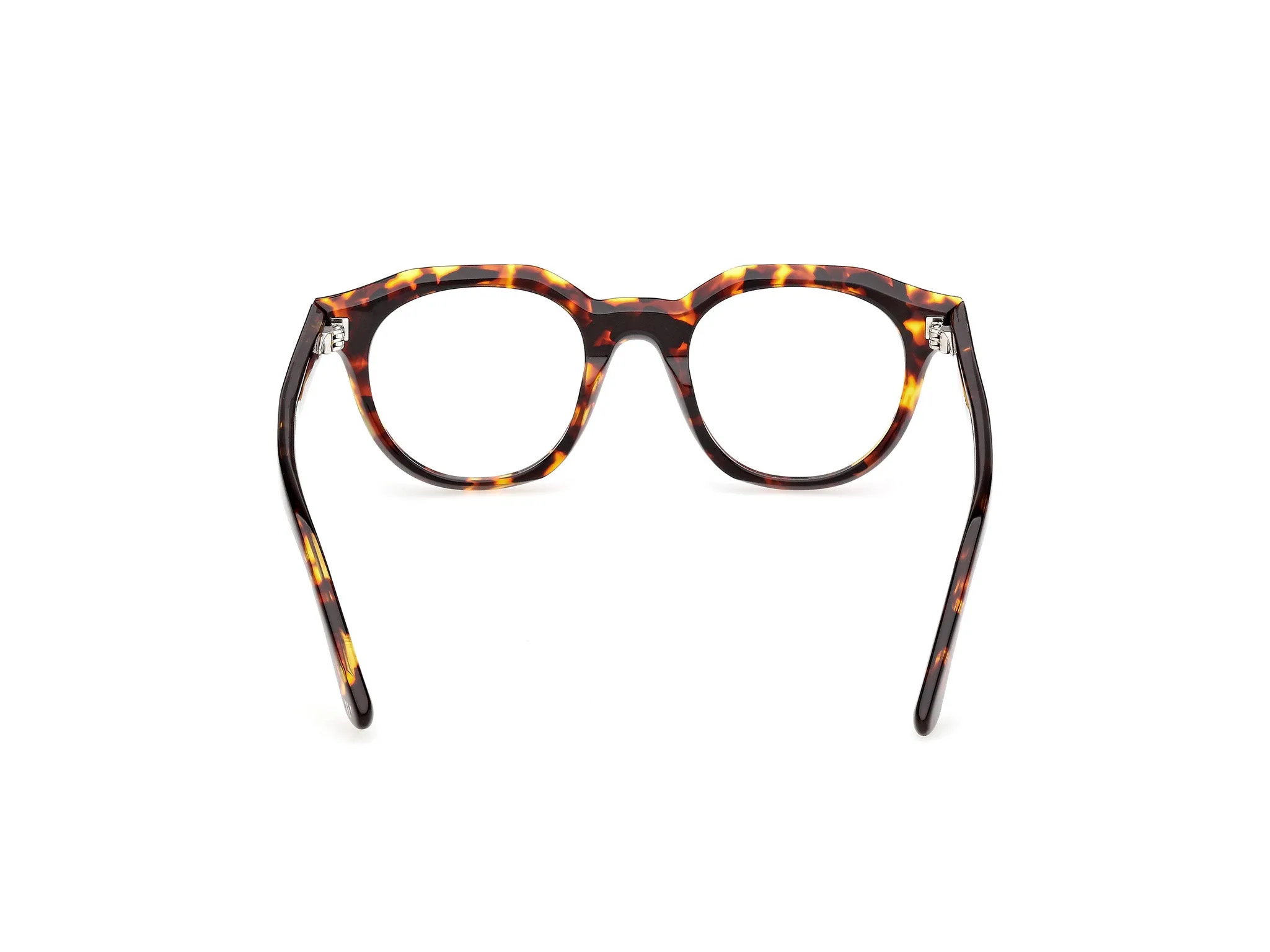 Web WE5461 055 Montature da vista Acetato Havana Rotonda Normale - immagine 4