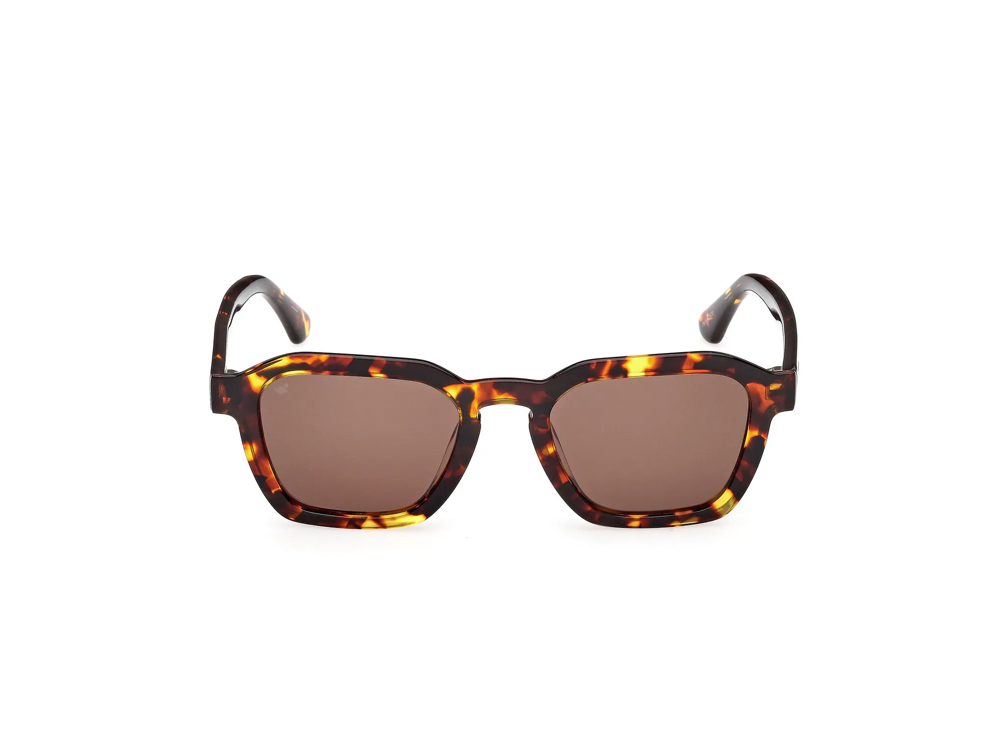 Web WE0392 55E Occhiali da sole Acetato Havana Marrone Squadrata Normale - immagine 2