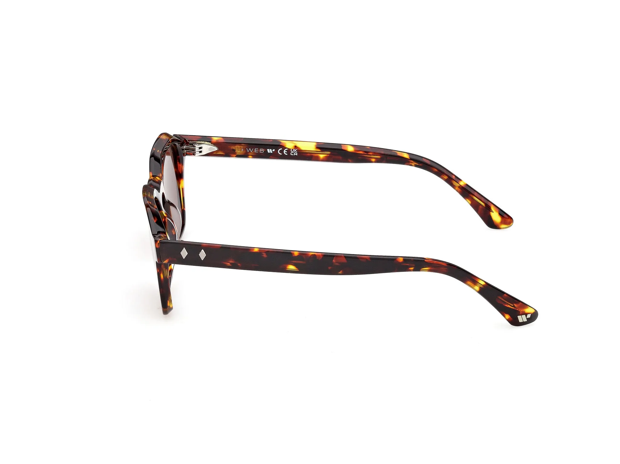 Web WE0392 55E Occhiali da sole Acetato Havana Marrone Squadrata Normale - immagine 3