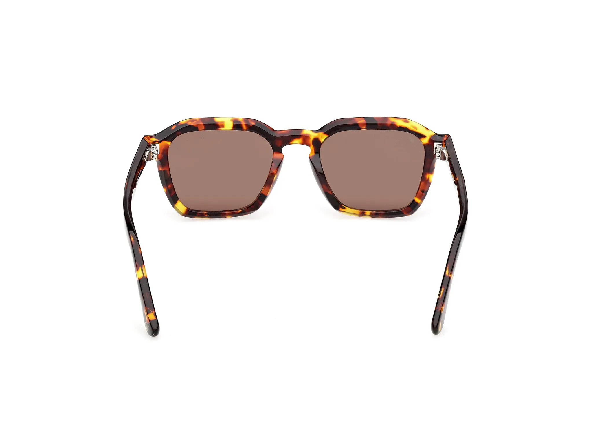 Web WE0392 55E Occhiali da sole Acetato Havana Marrone Squadrata Normale - immagine 4
