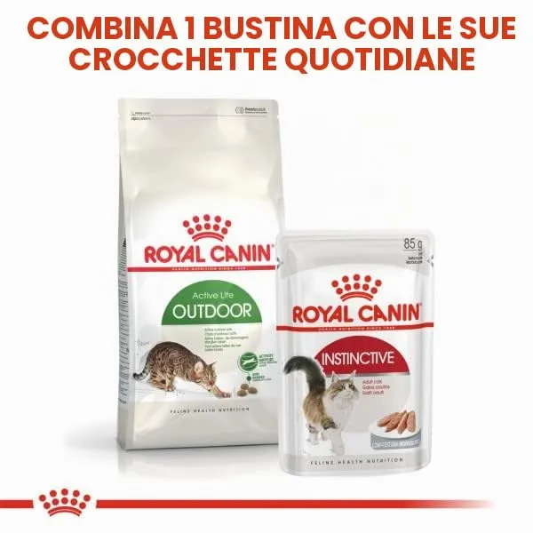 Royal Canin Cat Food Outdoor 2 kg - immagine 3