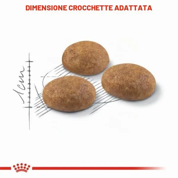 Royal Canin Cat Food Outdoor 2 kg - immagine 7