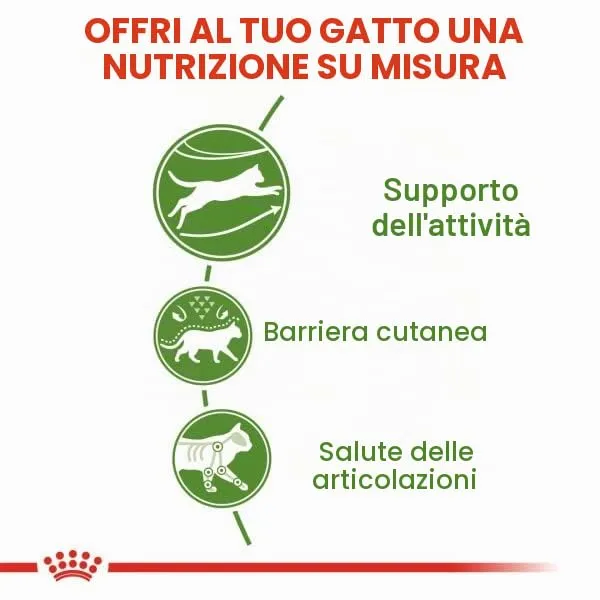 Royal Canin Cat Food Outdoor 2 kg - immagine 8