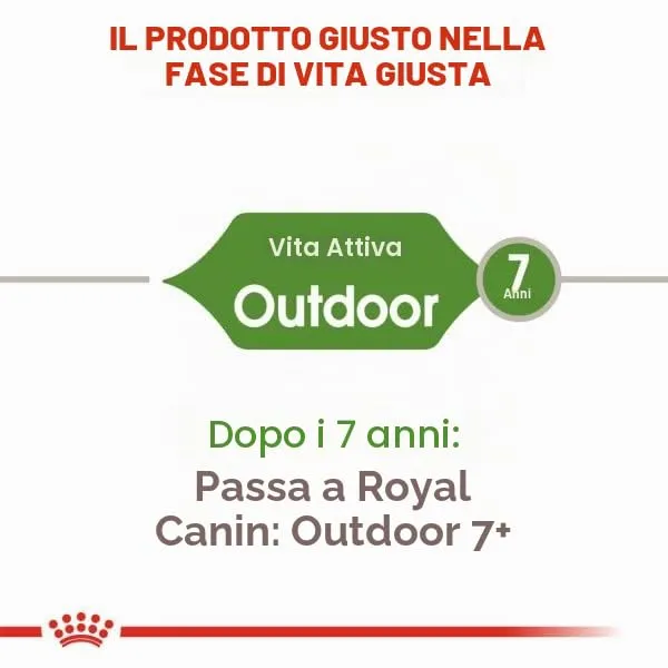 Royal Canin Cat Food Outdoor 2 kg - immagine 9