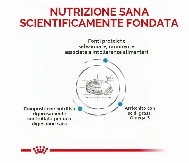 Royal Canin Veterinary Sensitivity Control | 1,5 kg | Alimento dietetico Completo per Gatti | per ridurre i sintomi iniziali di intolleranza ai Prodotti e ai nutrienti - immagine 6