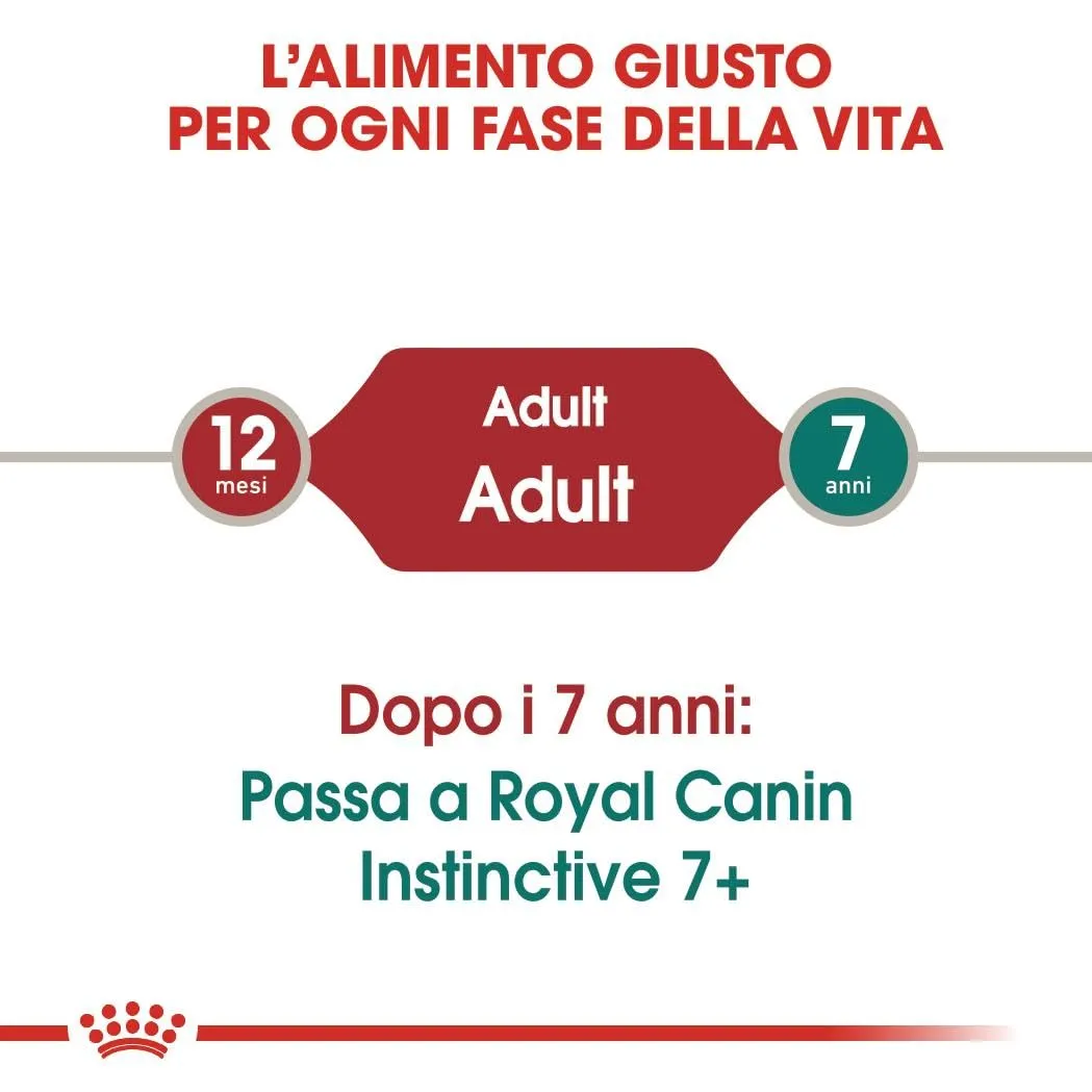 ROYAL CANIN Instinctive - Alimento umido completo per gatti adulti - 12x85g - immagine 3