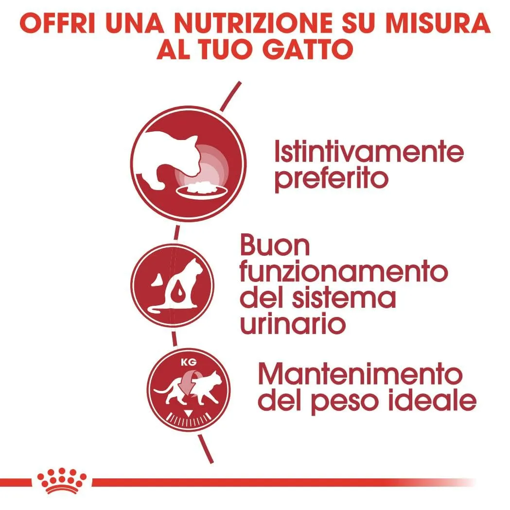 ROYAL CANIN Instinctive - Alimento umido completo per gatti adulti - 12x85g - immagine 4
