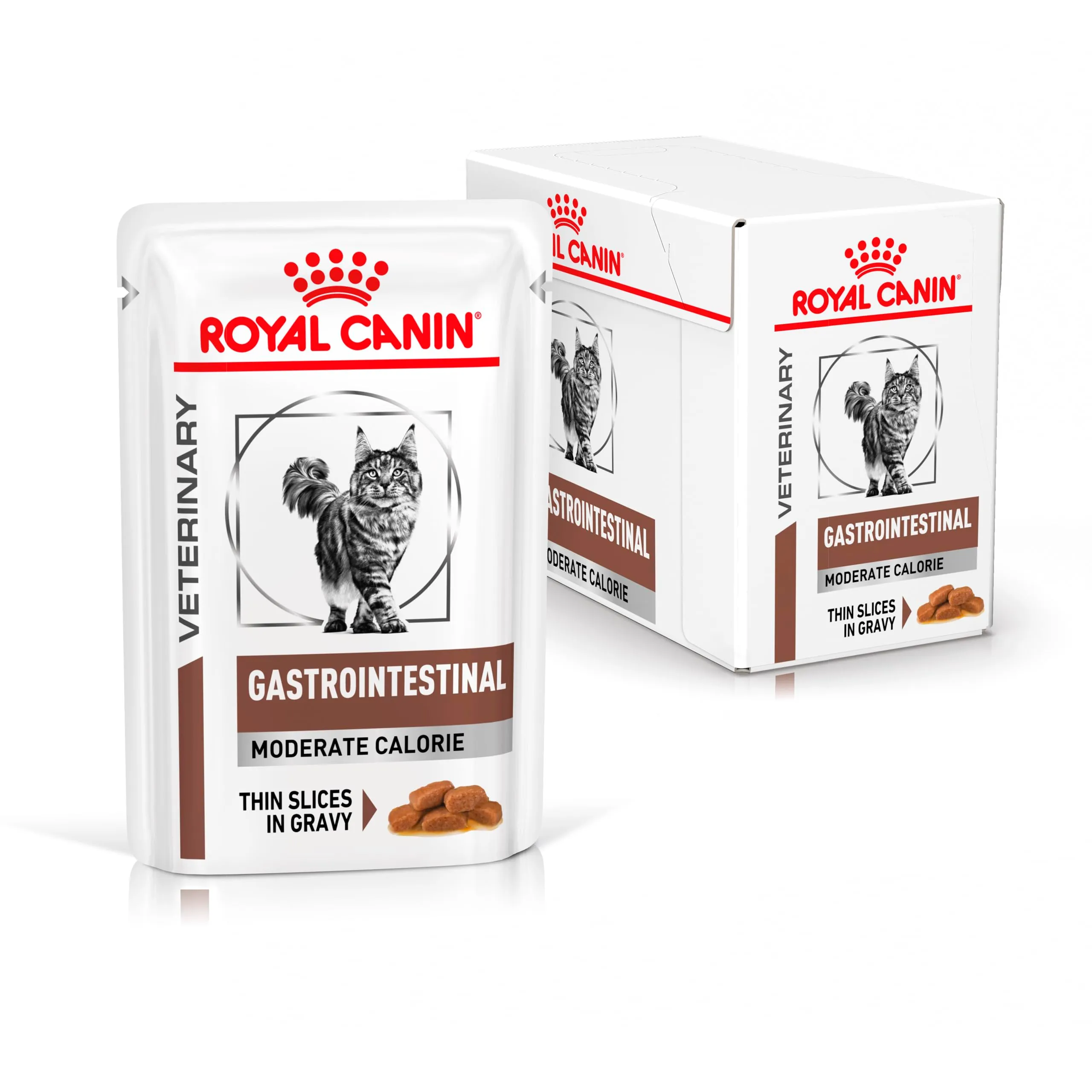 Royal Canin Gastrointestinal Feline Moderate Calorie Umido - immagine 1