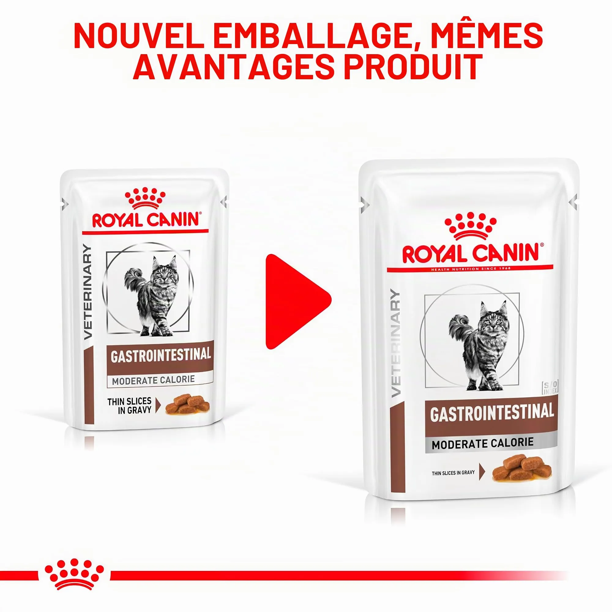 Royal Canin Gastrointestinal Feline Moderate Calorie Umido - immagine 4
