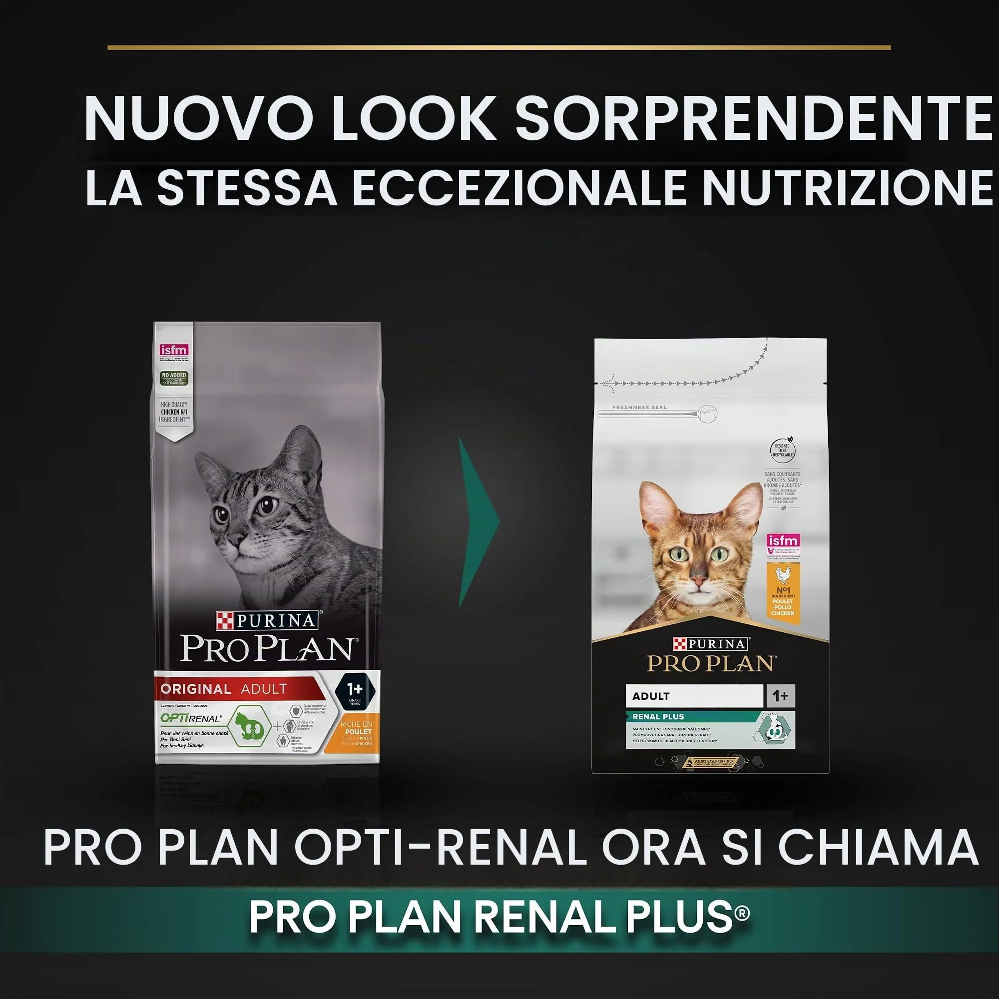 PURINA PRO PLAN Renal Plus Crocchette per Gatti Adulti, Sacco da 10kg - immagine 2