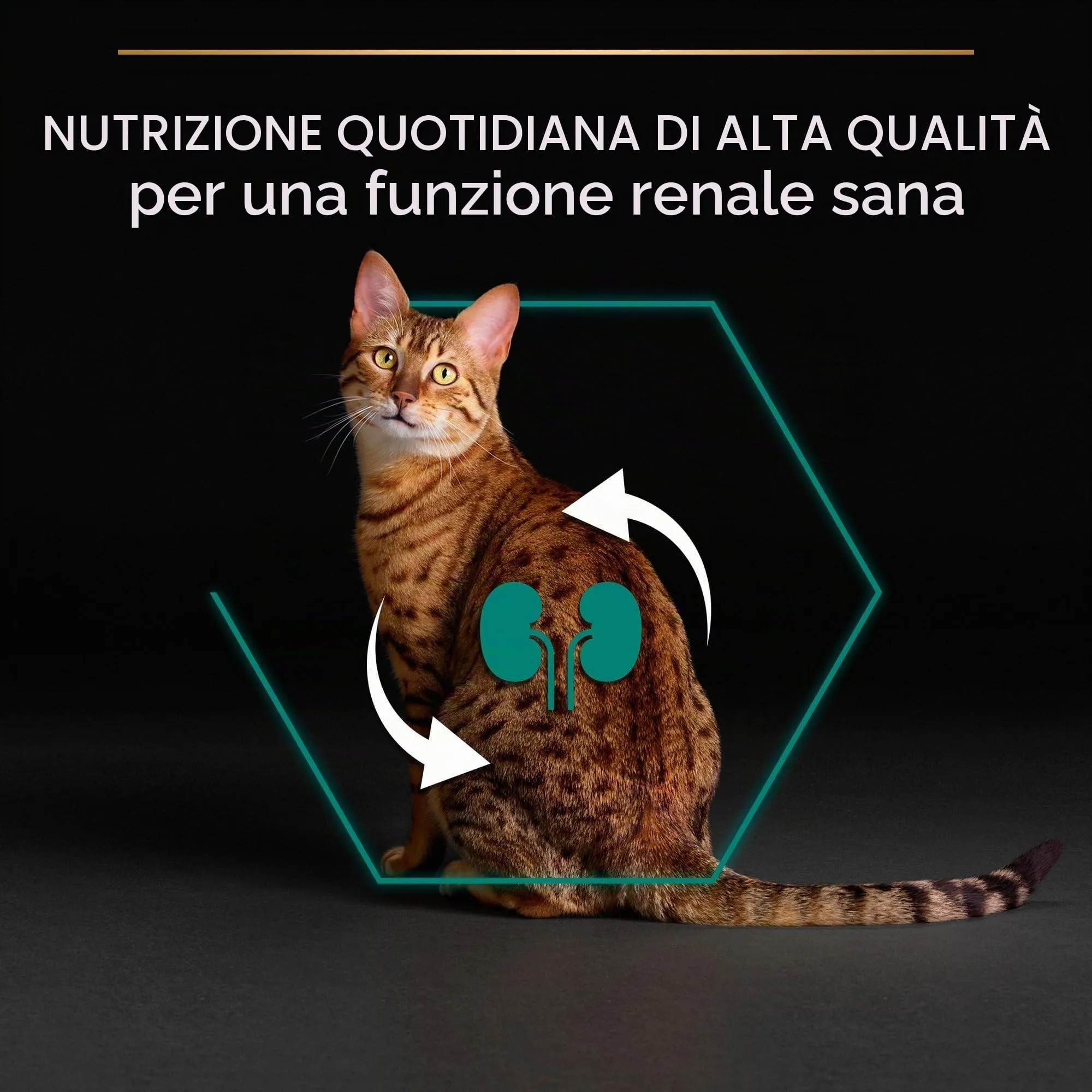 PURINA PRO PLAN Renal Plus Crocchette per Gatti Adulti, Sacco da 10kg - immagine 4