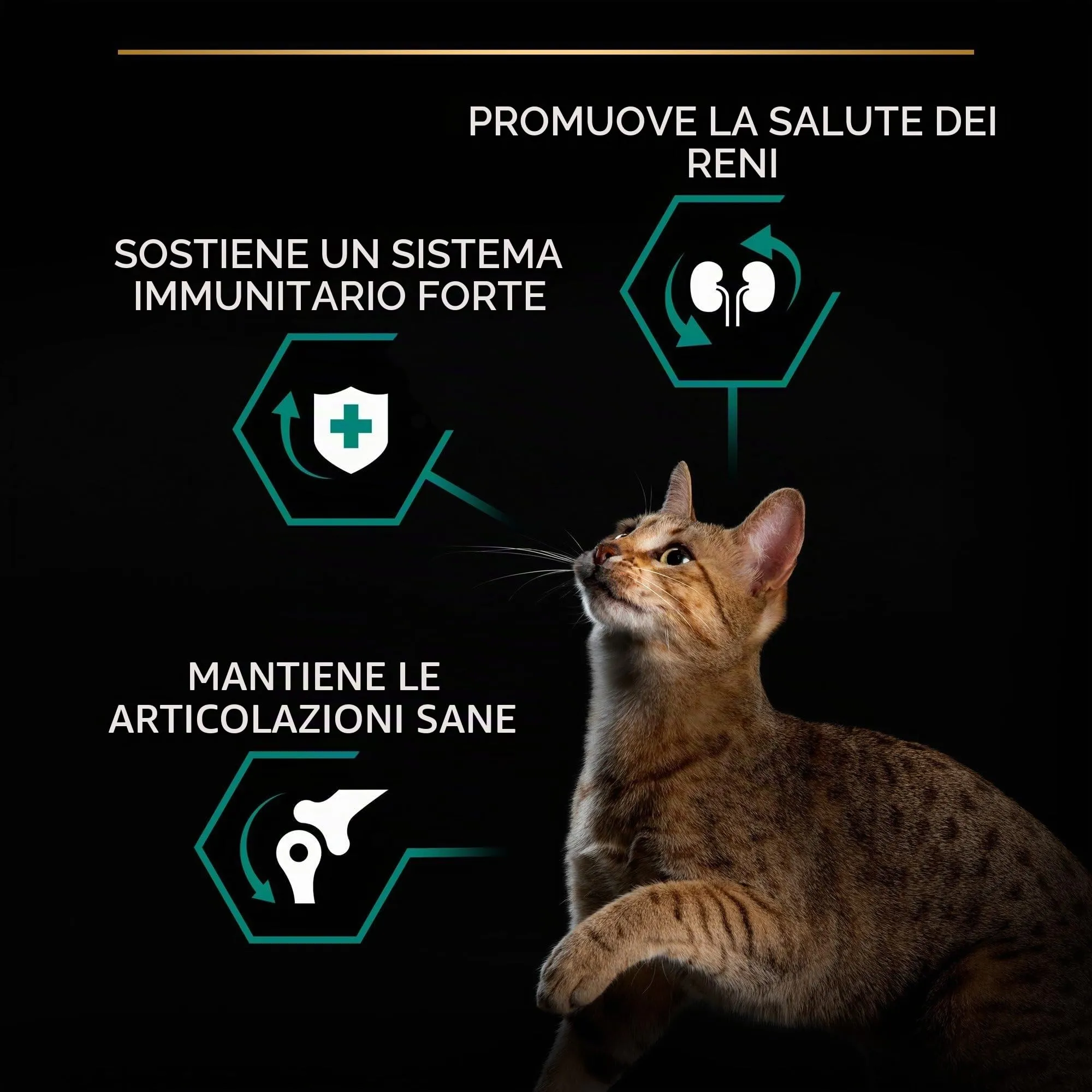 PURINA PRO PLAN Renal Plus Crocchette per Gatti Adulti, Sacco da 10kg - immagine 5