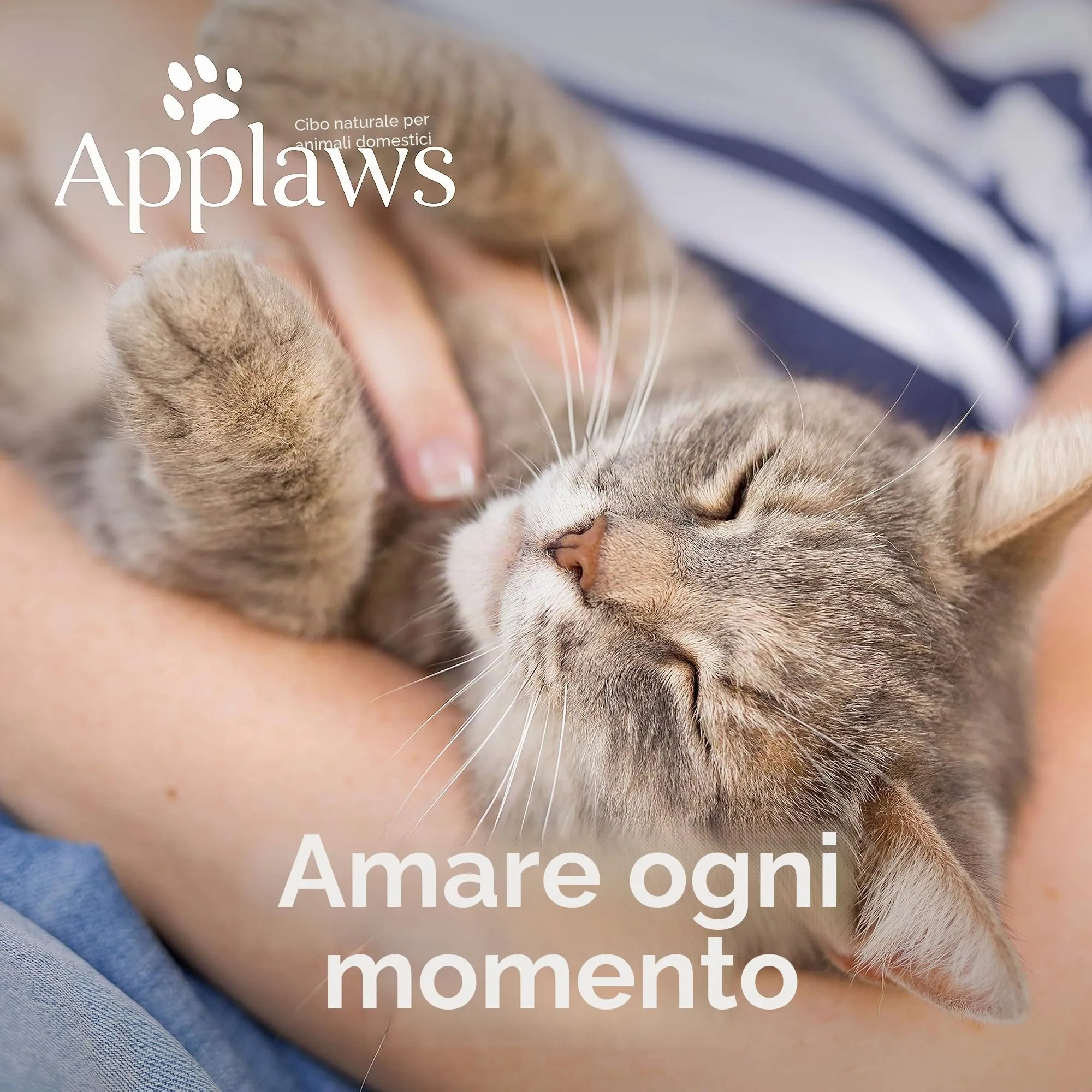 Applaws Wet Cat Food for Senior Adult Cats, Multipack Tuna and Chicken Selection in Jelly 6 x 70g - immagine 6