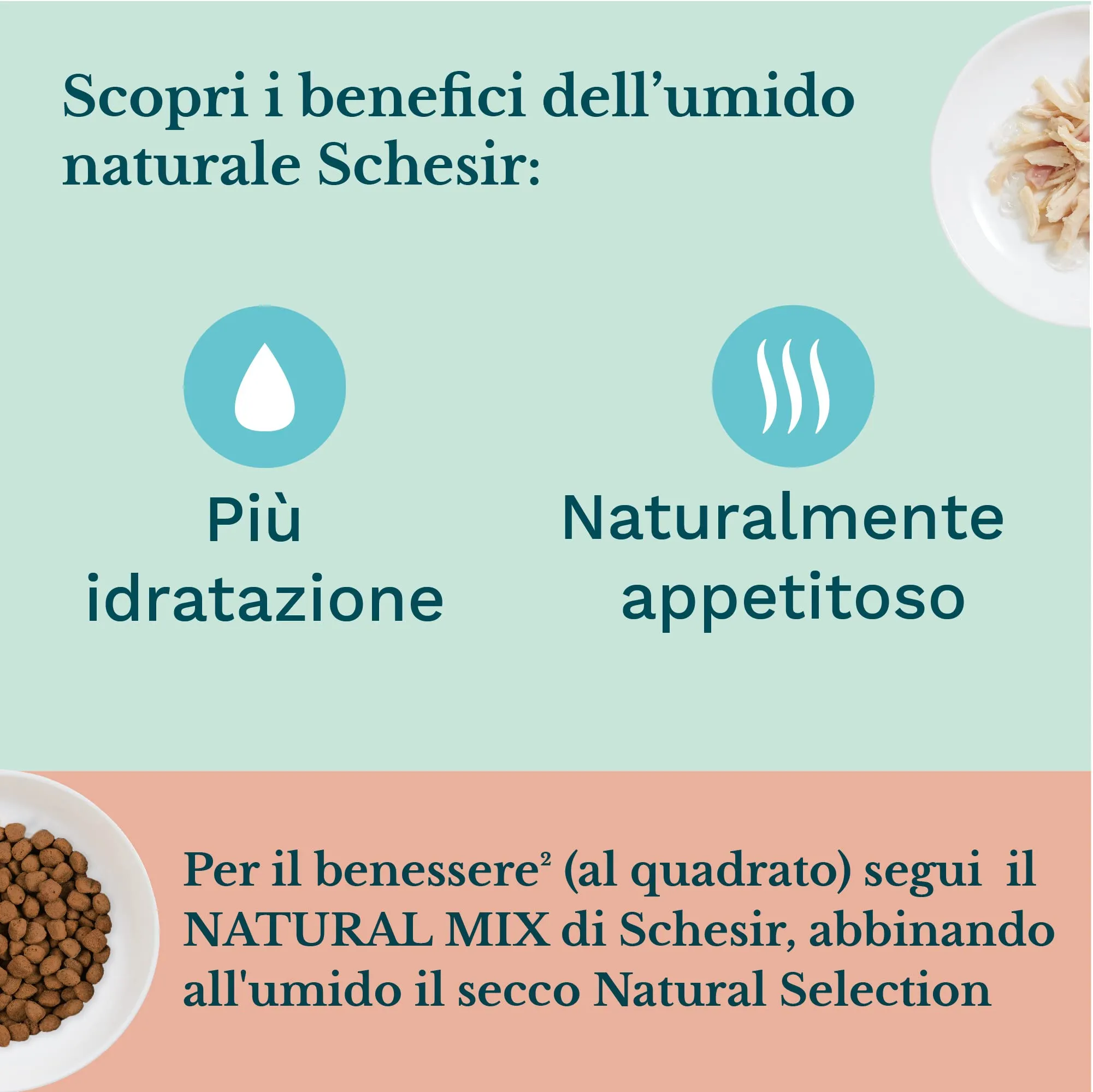 Schesir, Cibo Umido Per Gattini Al Gusto Tonno In Crema – Per Gattini Da 3 A 12 Mesi, 85g – Pack of 24 - immagine 7