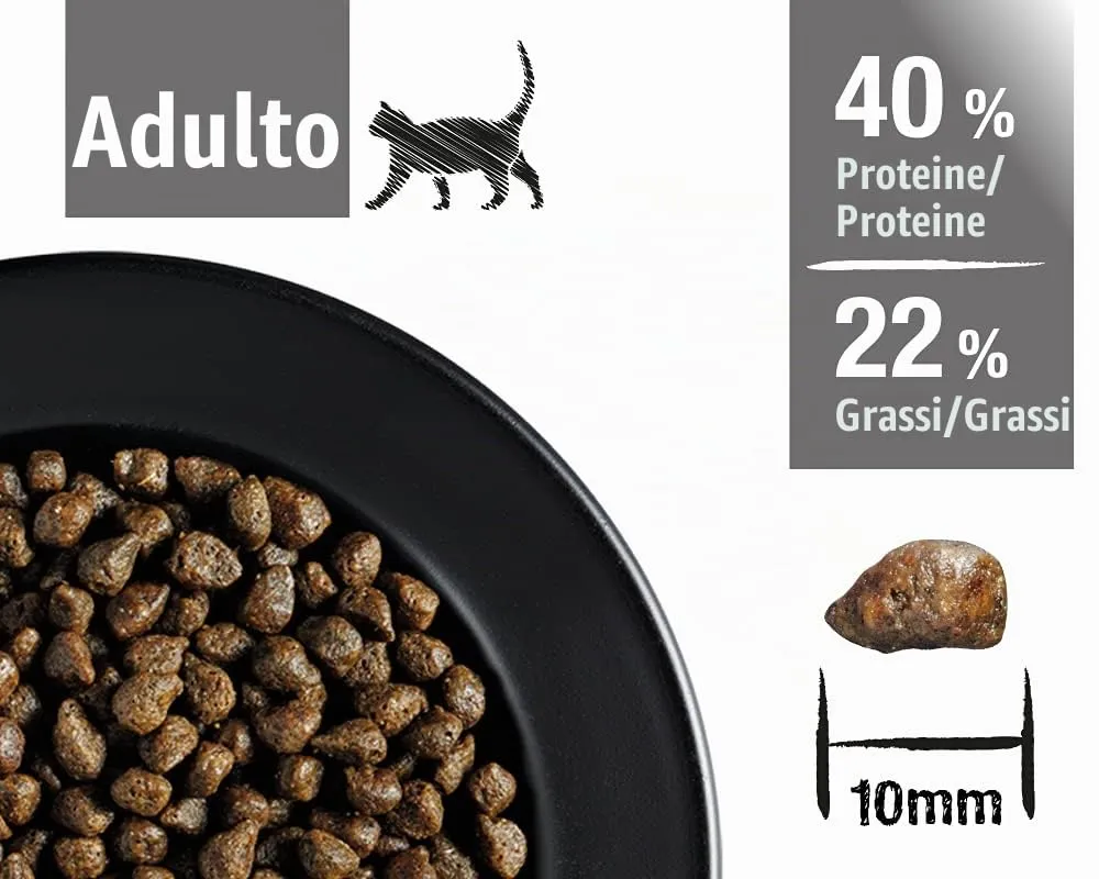 Leonardo fresh Salmon [4kg] Cibo per gatti | Cibo secco per gatti con 85% di carne fresca | Alimento completo per gatti adulti di tutte le razze di almeno 1 anno - immagine 3