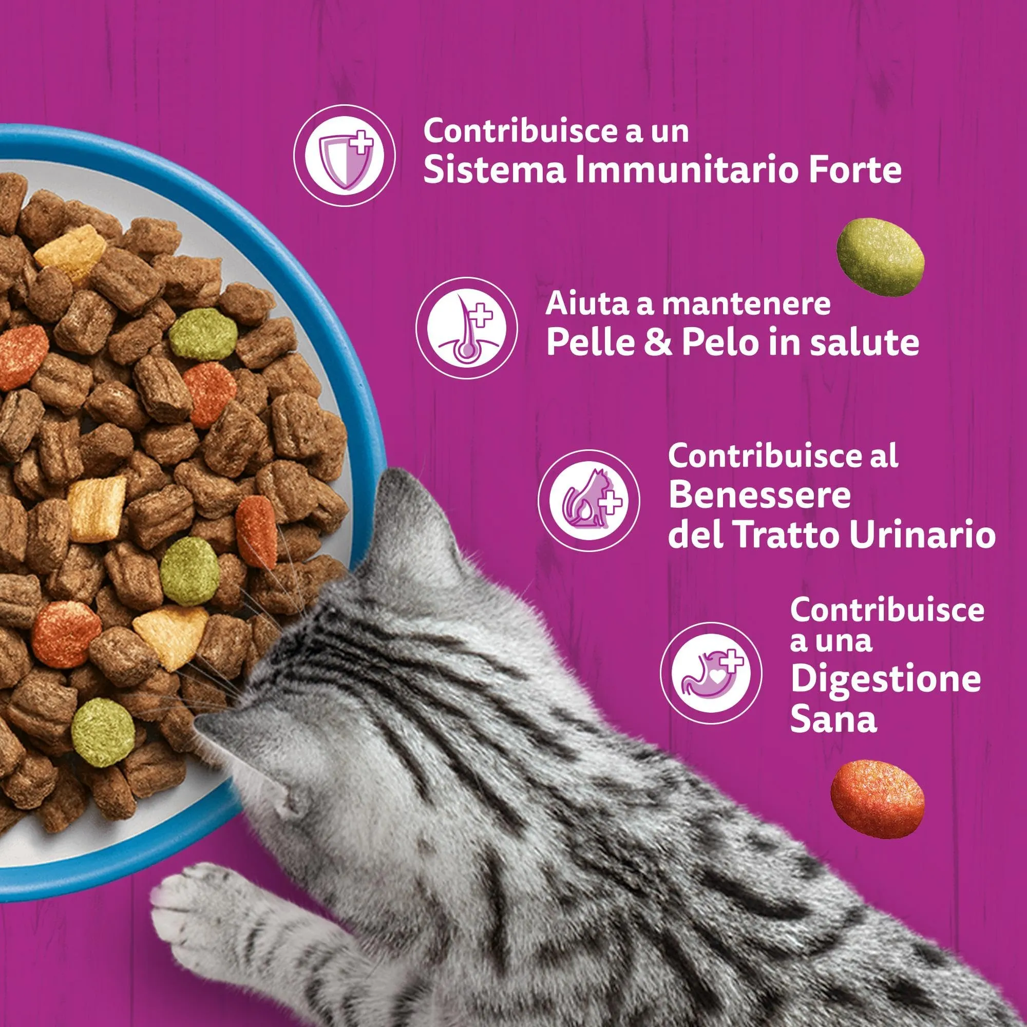 WHISKAS Cibo Secco per Gatti Adulti 300g con Tonno, confezione da 14 - immagine 6
