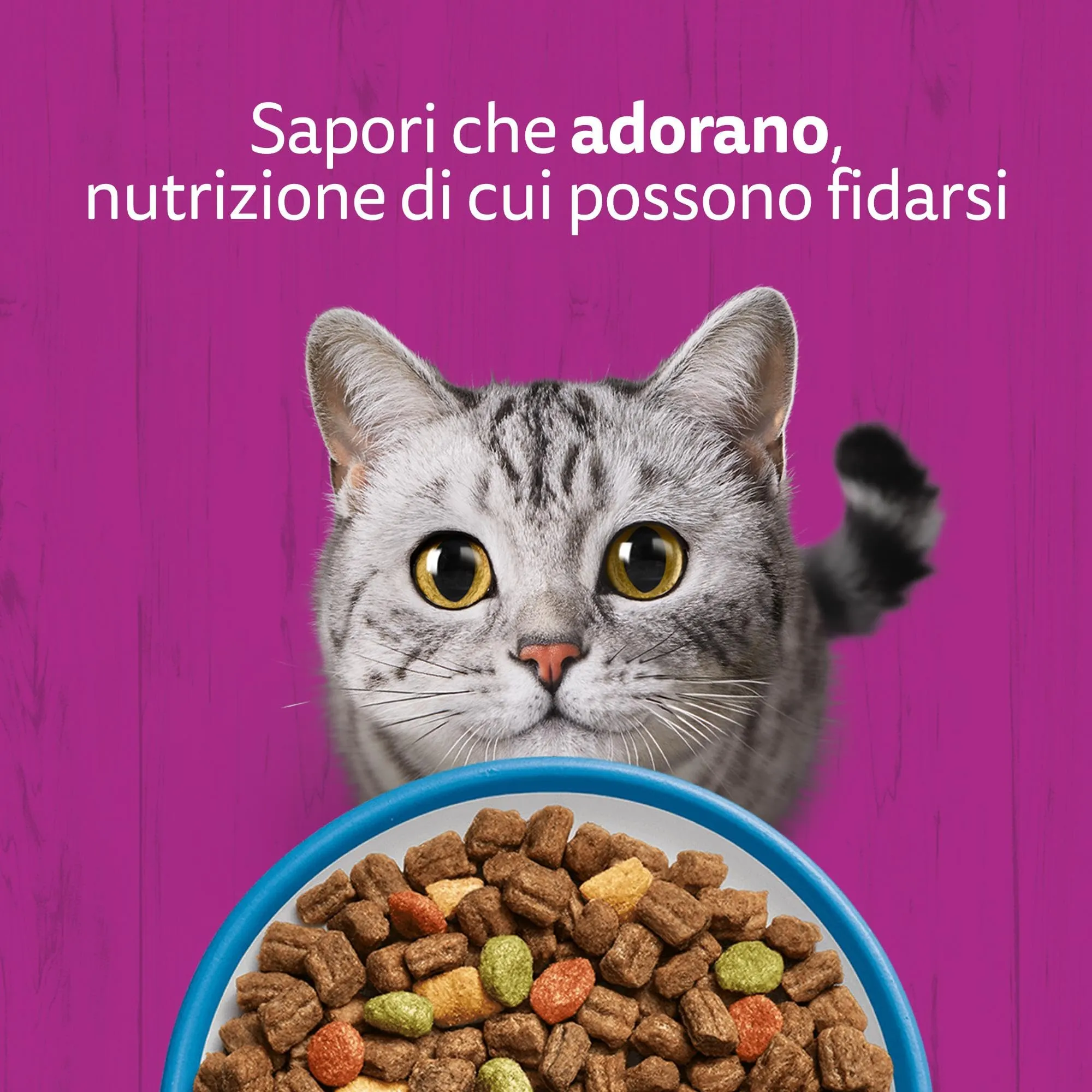 WHISKAS Cibo Secco per Gatti Adulti 300g con Tonno, confezione da 14 - immagine 8