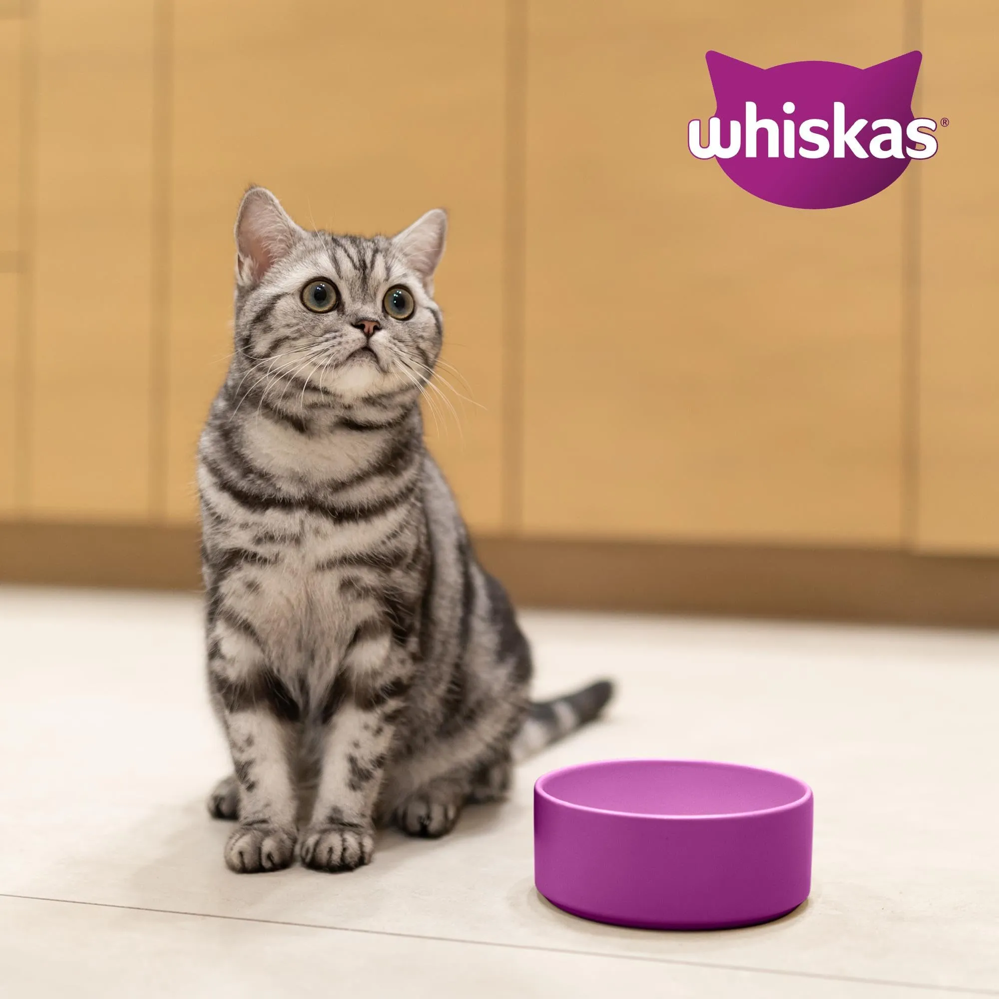 WHISKAS Cibo Secco per Gatti Adulti 300g con Tonno, confezione da 14 - immagine 10