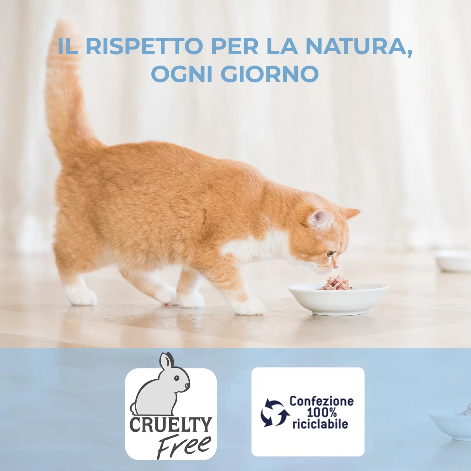 ADoC Day By Day Cat Gatto Paté Per Gattini con Tacchino - Box da 16 Vaschette da 100gr - immagine 4