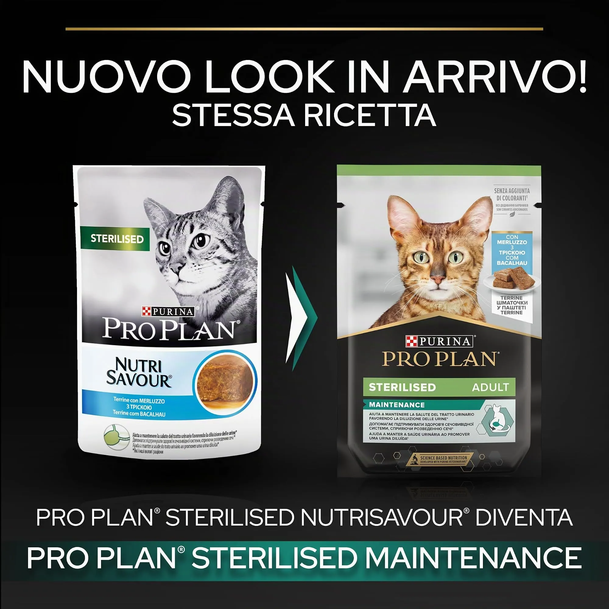 Purina Pro Plan Sterilised Mantainance Cibo Umido per Gatti Sterilizzati Pezzettini in Salsa Manzo, 40 Bustine da 85g - immagine 3