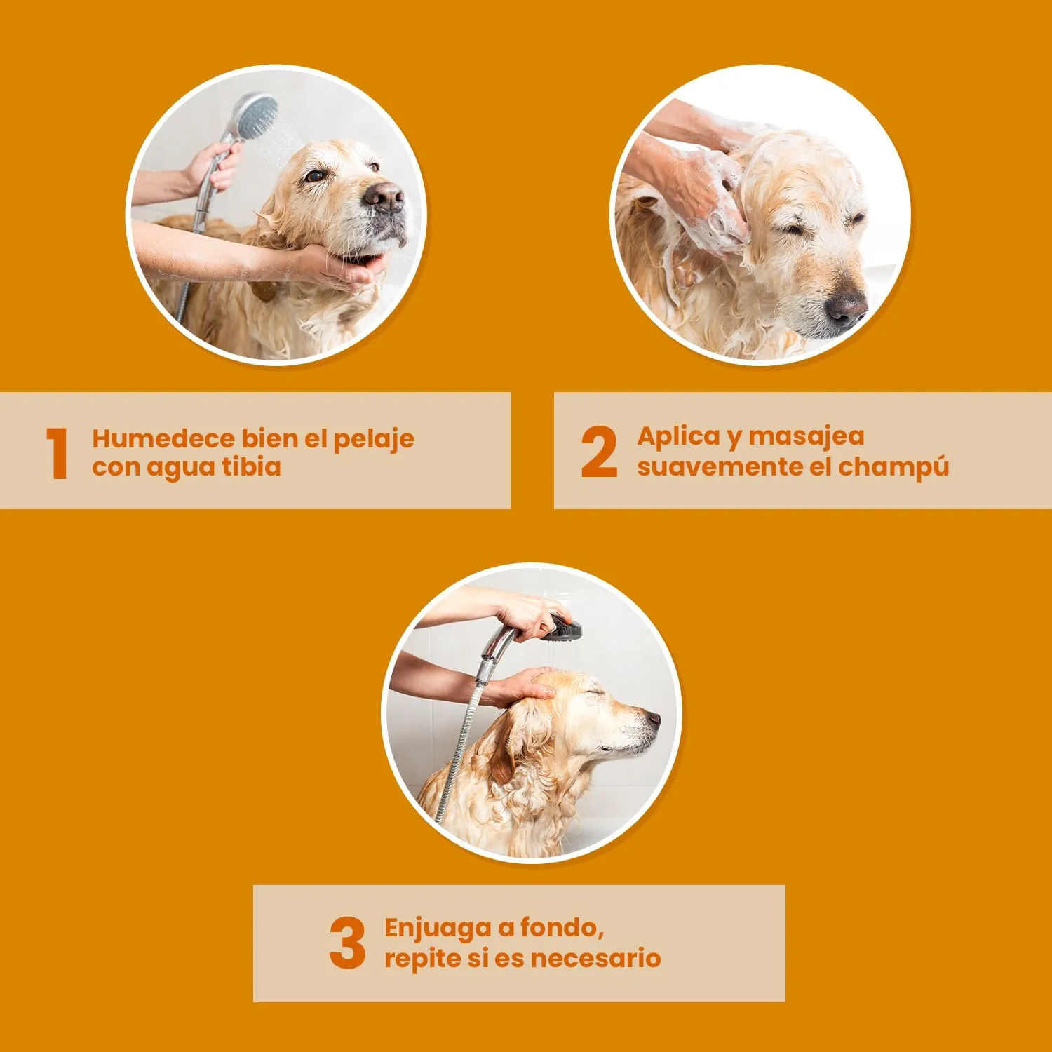 Shampoo per cani e gatti – Shampoo per cani per lucentezza e cura – Ideale per pelo e pelle sensibili – 250 ml - immagine 4
