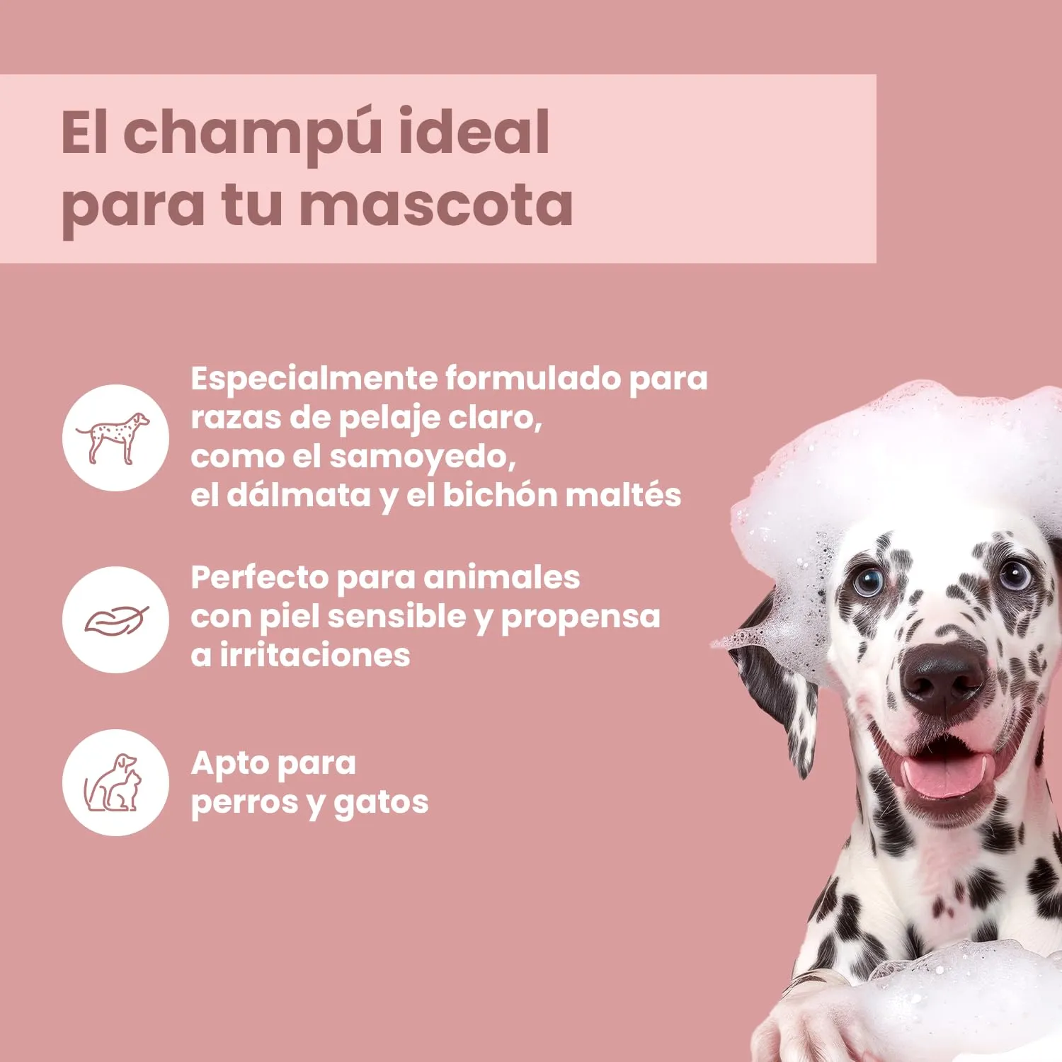 Shampoo per cani e gatti - Shampoo per cani per lucentezza e cura - Ideale per pelo e pelle sensibili - 250 ml - immagine 4