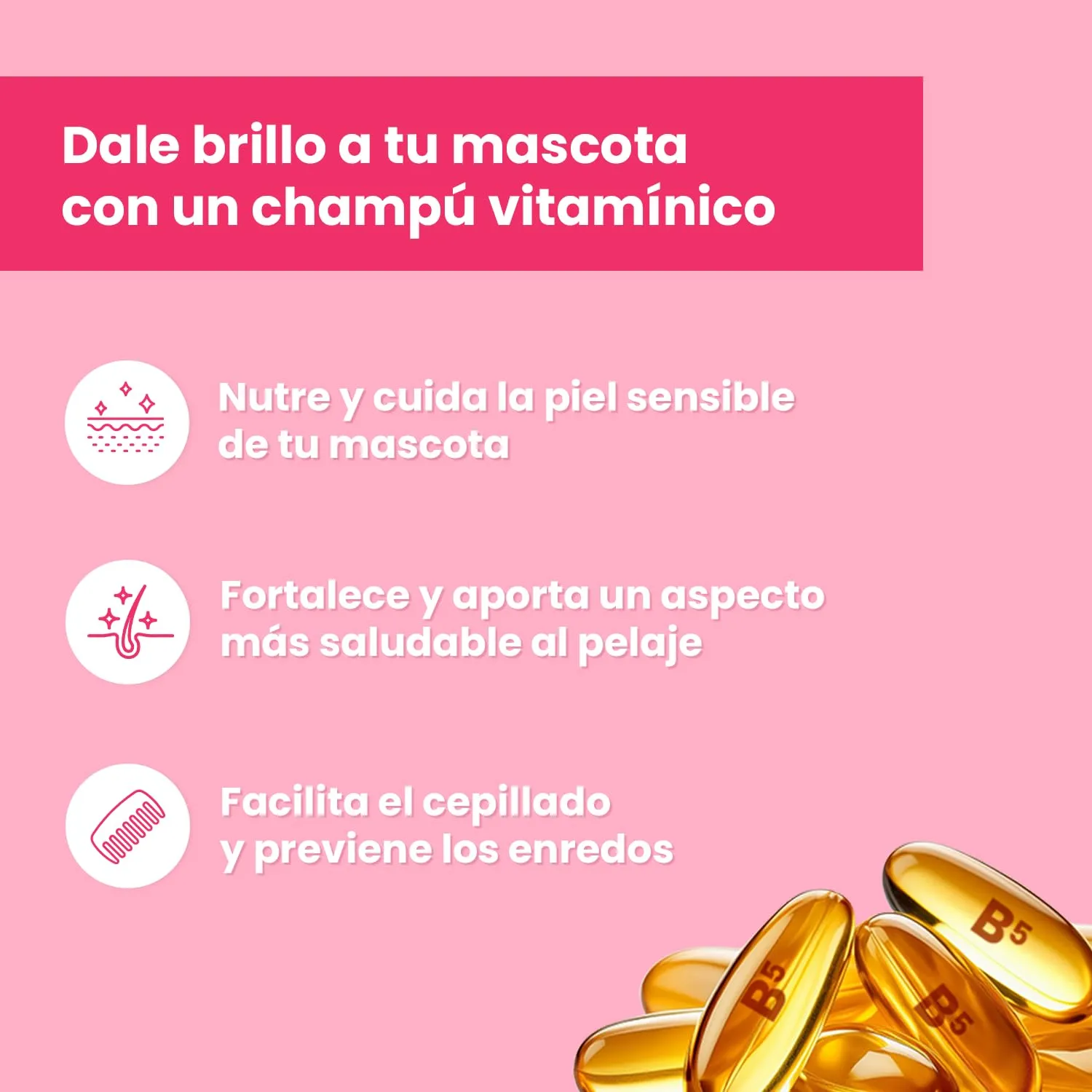 Shampoo per cani e gatti – Shampoo per cani per lucentezza e cura – Ideale per pelo e pelle sensibili – 250 ml - immagine 2
