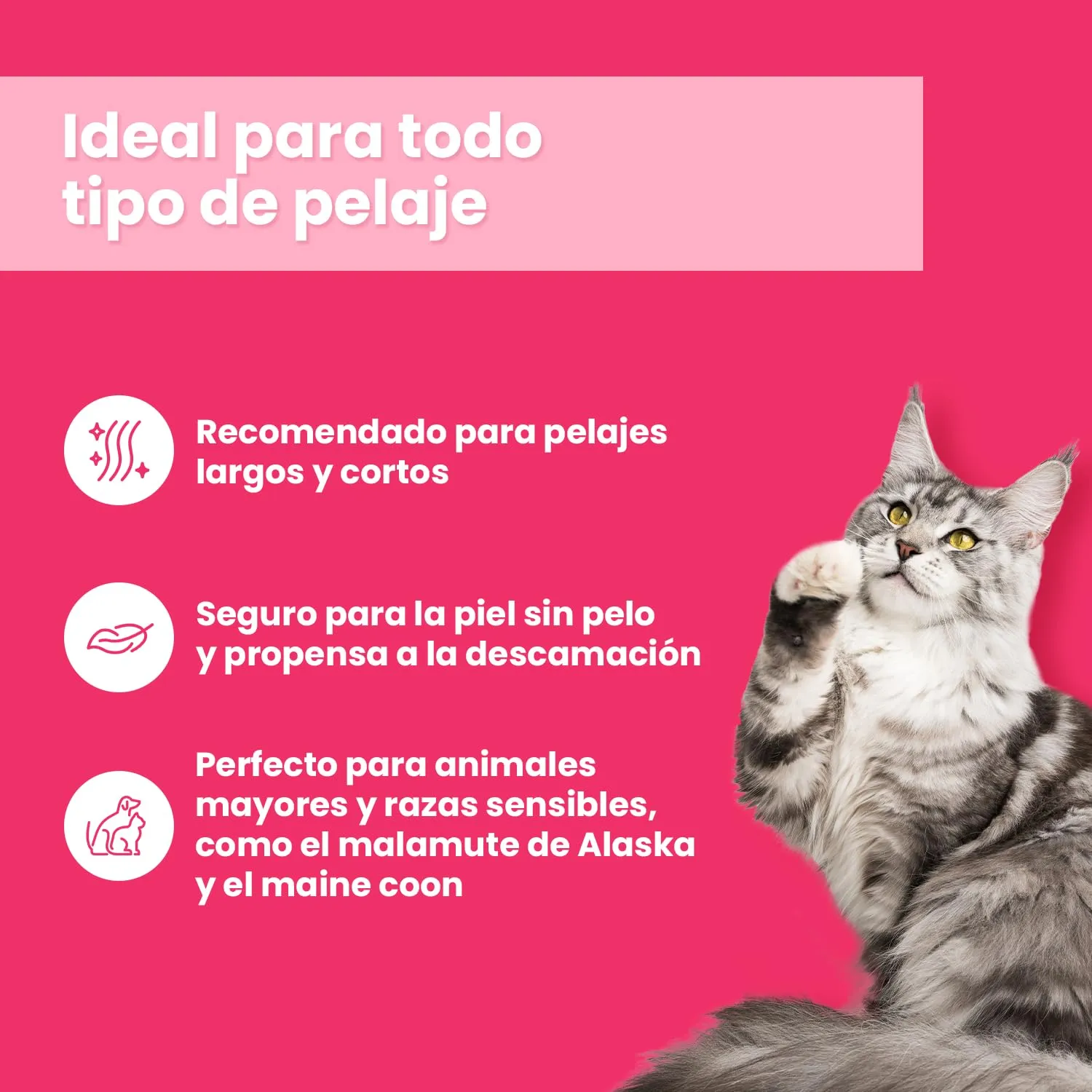 Shampoo per cani e gatti – Shampoo per cani per lucentezza e cura – Ideale per pelo e pelle sensibili – 250 ml - immagine 4
