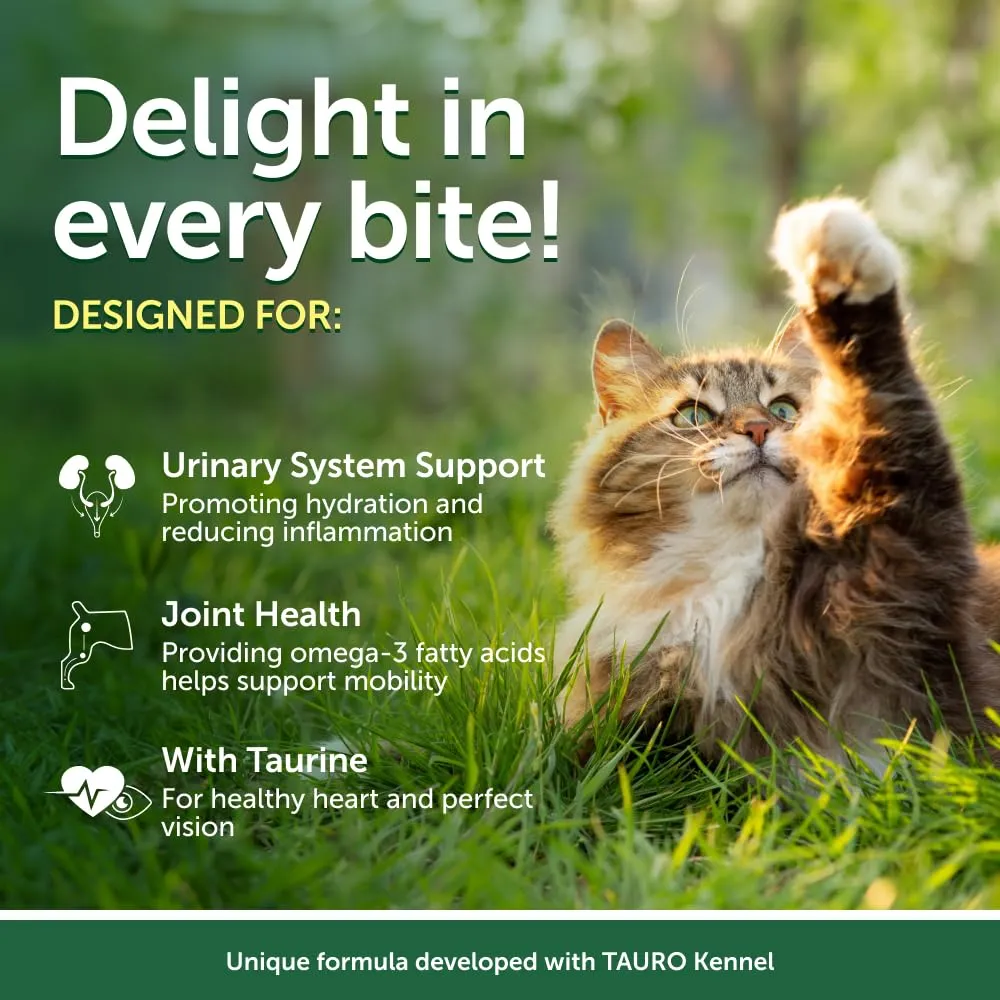 Nature's Protection Superior Care Umido gatti, Tonno e salmone 24 x 70 g - immagine 2
