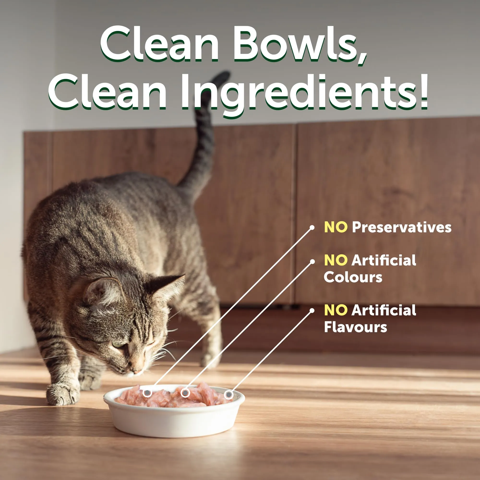 Nature's Protection Superior Care Umido gatti, Tonno e salmone 24 x 70 g - immagine 4