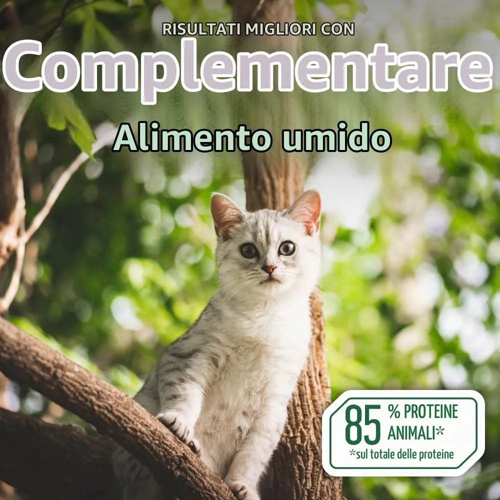 Nature's Protection Superior Care Umido gatti, Tonno e salmone 24 x 70 g - immagine 9