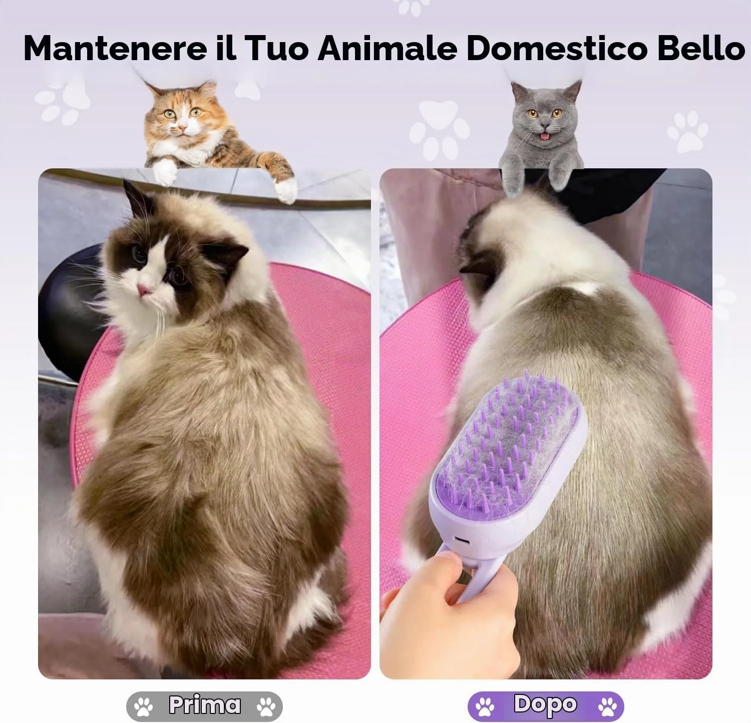 Spazzola a Vapore per Gatti e Cani, 5-In-1 Multifunzionale Spazzola per la Cura Degli Animali Domestici con Ricaricabile, Vaporosa per Gatti Capelli Lunghi/Corti, Viola - immagine 7