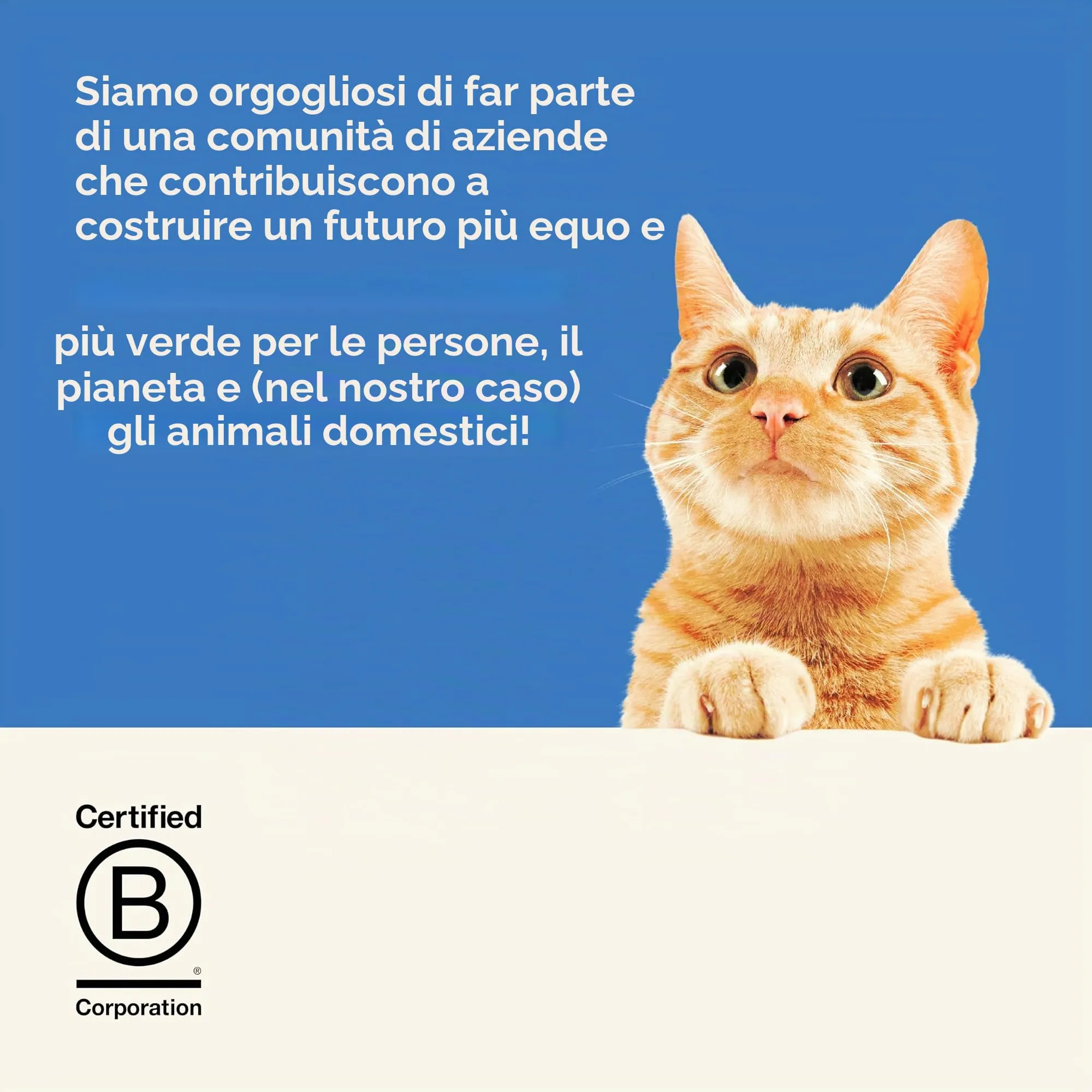 Applaws Cibo Umido per Gatti 100% Naturale – Topping di Brodo di Pesce con Tonno, in Bustine con Beccuccio da 85g - immagine 7