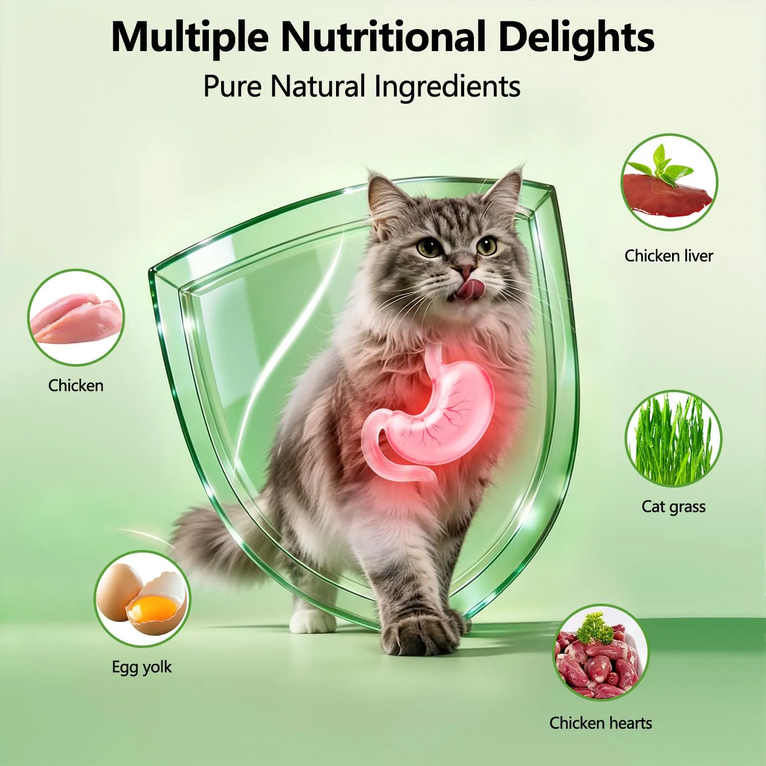 Snack di Erba per Gatti 150g, Cereali di Erba per Gatti Congelati, Snack Naturali per la Rimozione delle Palle di Pelo e la Cura dei Denti - immagine 2