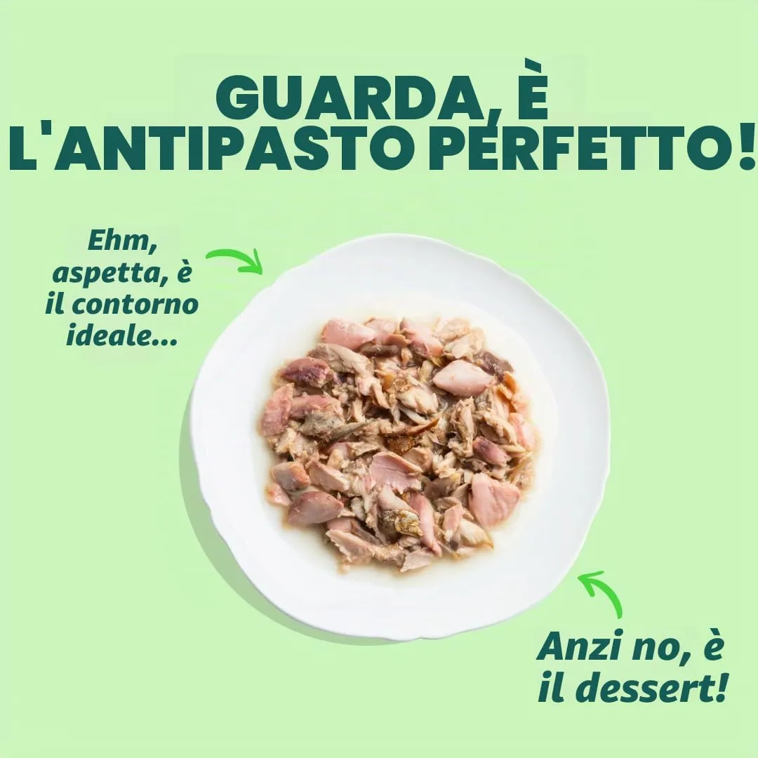 Edgard & Cooper Cibo Umido per Gatti, Sfilaccetti in Brodo, Salmone & Sgombro 24 x 70g, Cibo per Gatti Senza Cereali, Ingredienti Naturali, Anche per Gatti Sterilizzati, No Zuccheri Aggiunti - immagine 4