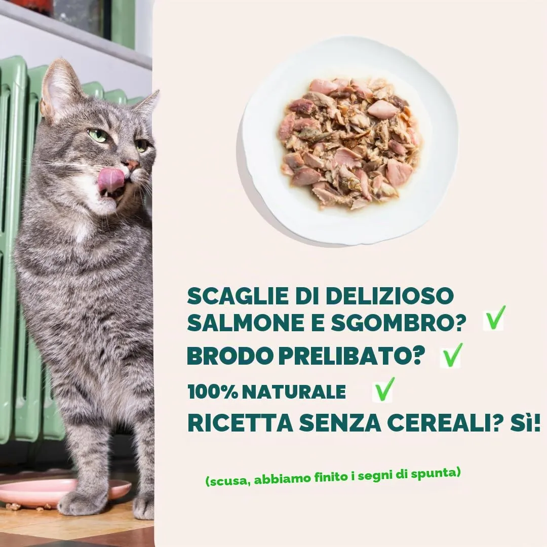 Edgard & Cooper Cibo Umido per Gatti, Sfilaccetti in Brodo, Salmone & Sgombro 24 x 70g, Cibo per Gatti Senza Cereali, Ingredienti Naturali, Anche per Gatti Sterilizzati, No Zuccheri Aggiunti - immagine 5