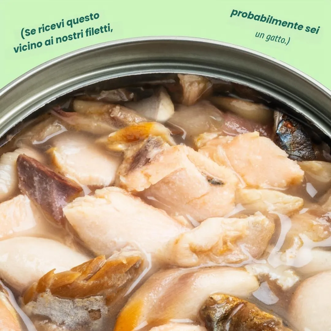 Edgard & Cooper Cibo Umido per Gatti, Sfilaccetti in Brodo, Salmone & Sgombro 24 x 70g, Cibo per Gatti Senza Cereali, Ingredienti Naturali, Anche per Gatti Sterilizzati, No Zuccheri Aggiunti - immagine 6