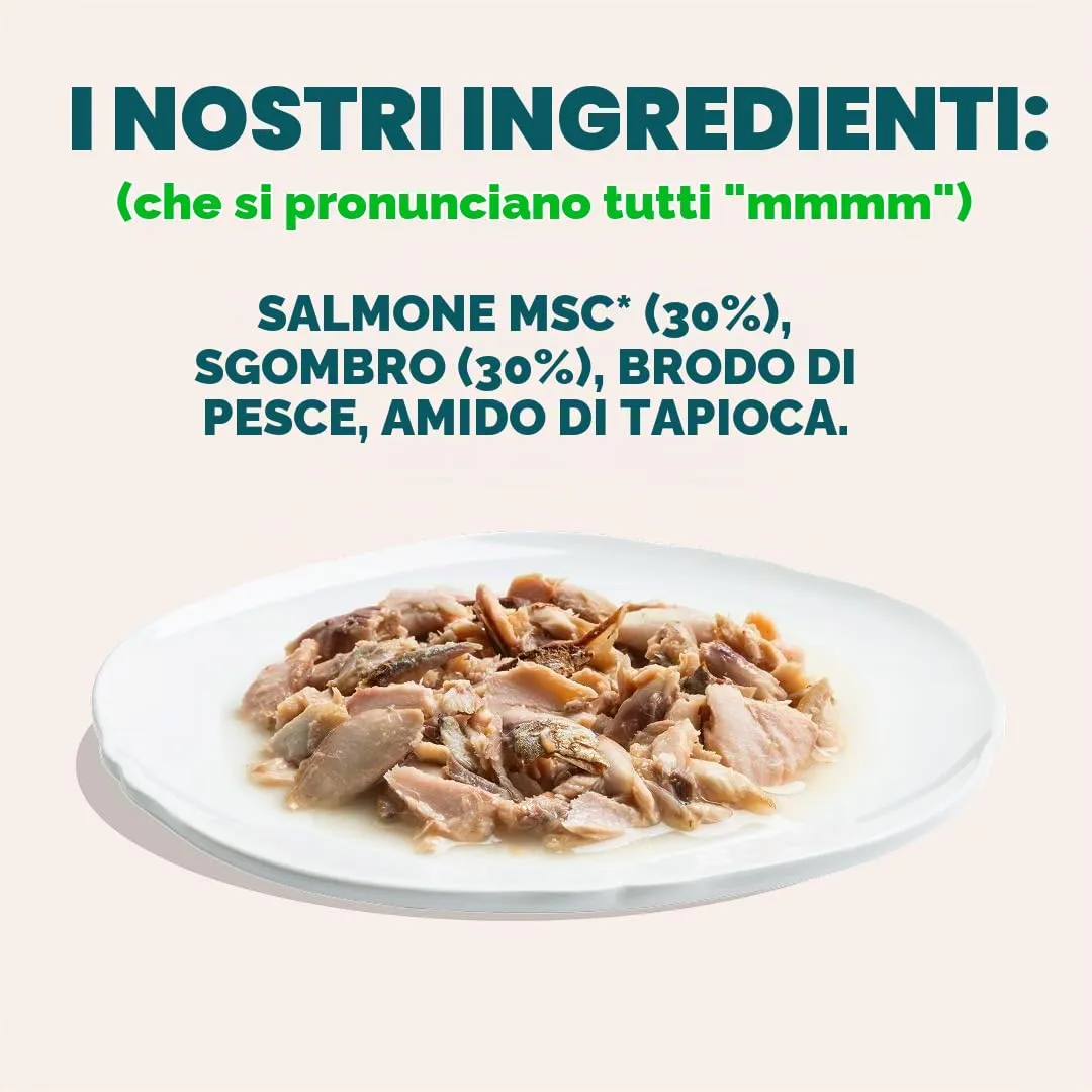 Edgard & Cooper Cibo Umido per Gatti, Sfilaccetti in Brodo, Salmone & Sgombro 24 x 70g, Cibo per Gatti Senza Cereali, Ingredienti Naturali, Anche per Gatti Sterilizzati, No Zuccheri Aggiunti - immagine 7