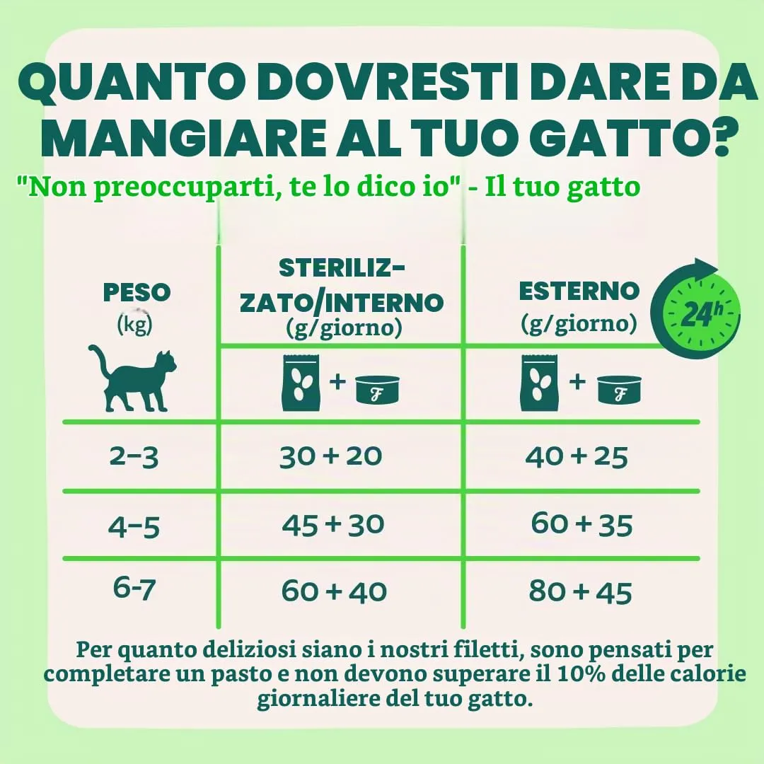 Edgard & Cooper Cibo Umido per Gatti, Sfilaccetti in Brodo, Salmone & Sgombro 24 x 70g, Cibo per Gatti Senza Cereali, Ingredienti Naturali, Anche per Gatti Sterilizzati, No Zuccheri Aggiunti - immagine 8