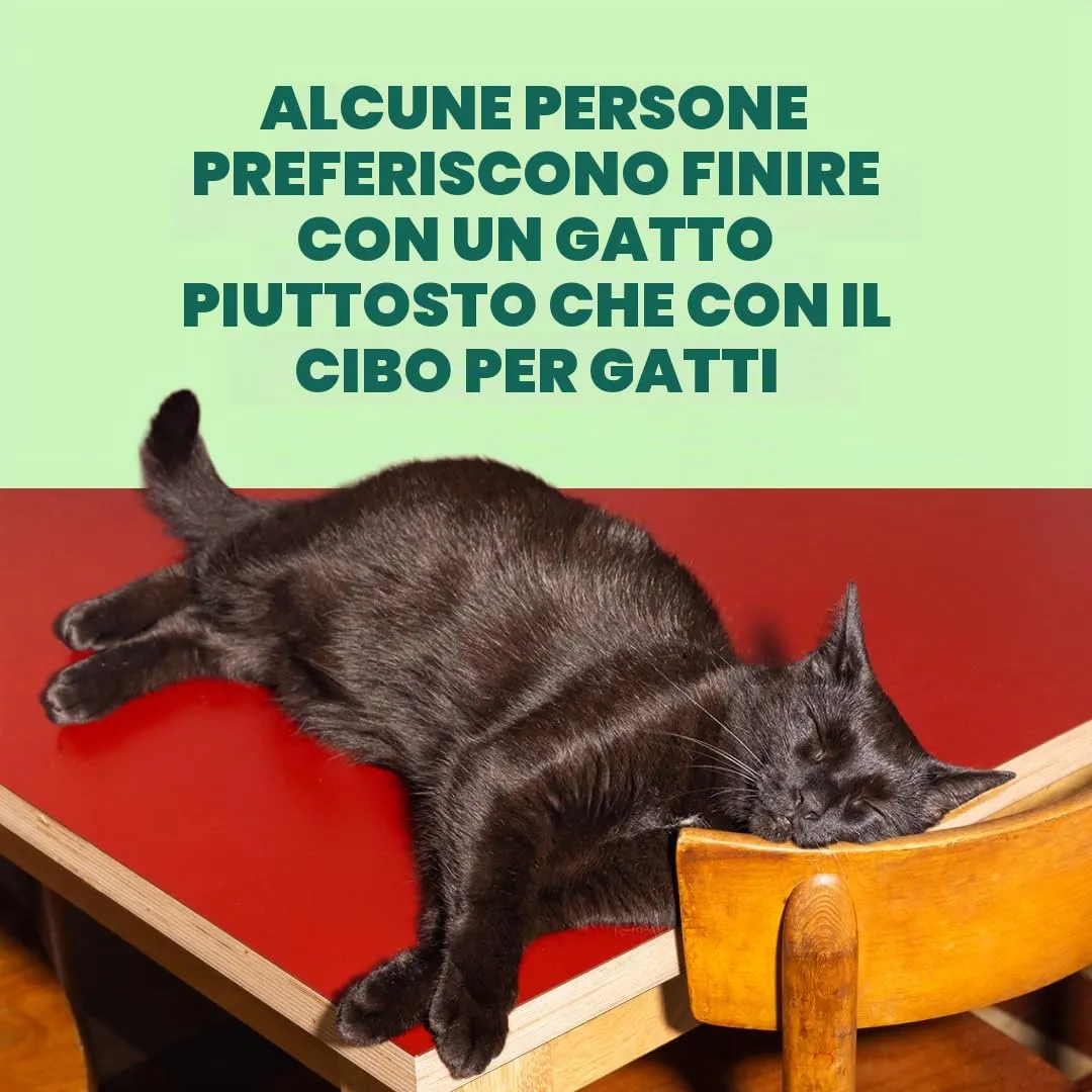 Edgard & Cooper Cibo Umido per Gatti, Sfilaccetti in Brodo, Salmone & Sgombro 24 x 70g, Cibo per Gatti Senza Cereali, Ingredienti Naturali, Anche per Gatti Sterilizzati, No Zuccheri Aggiunti - immagine 10